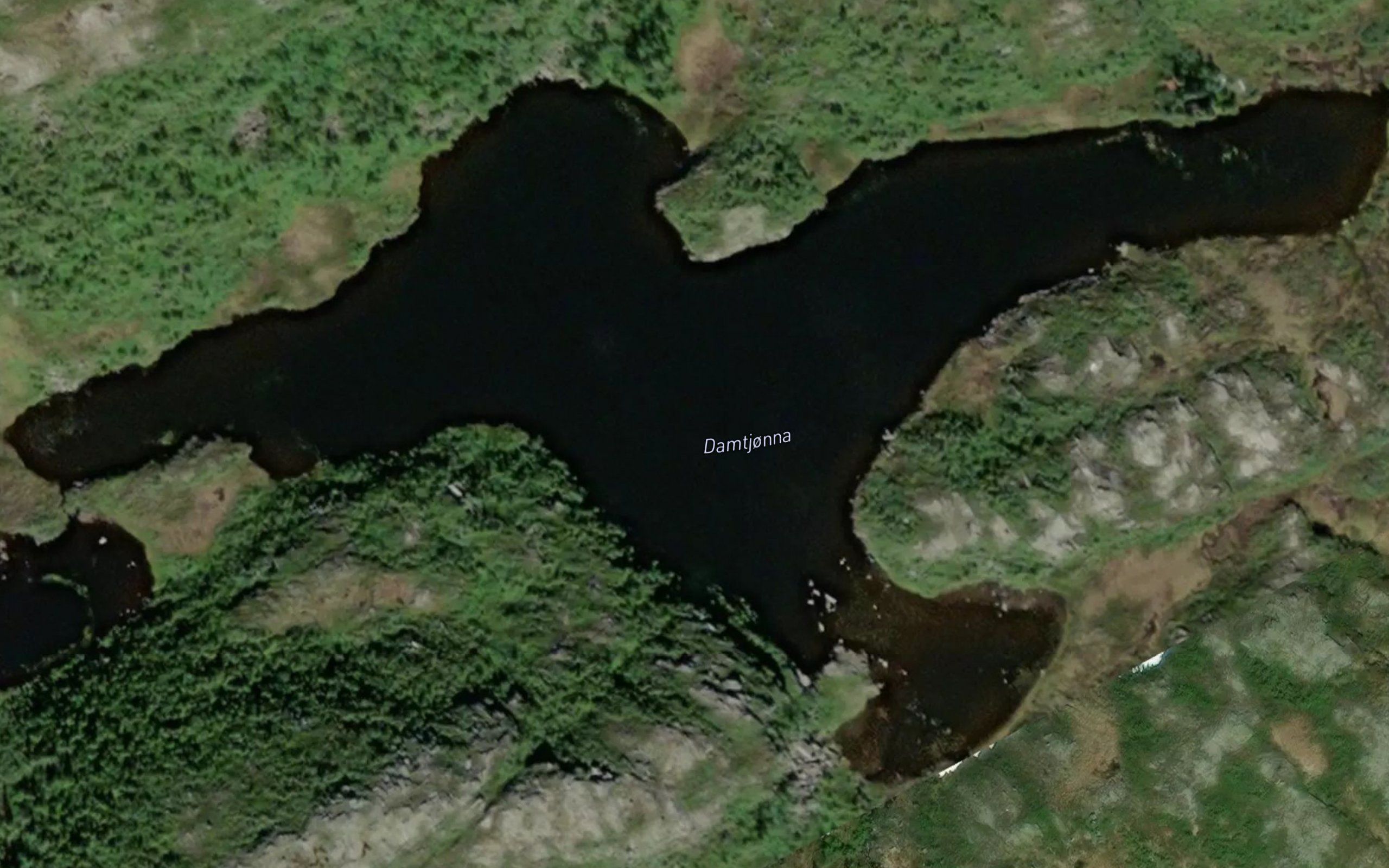Damtjonna