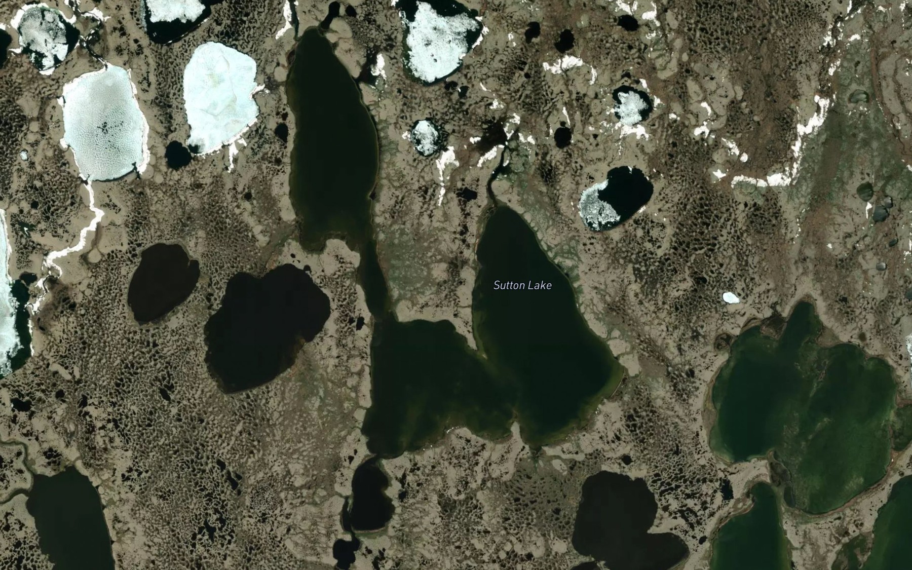 Satellite map of the Sutton Lake