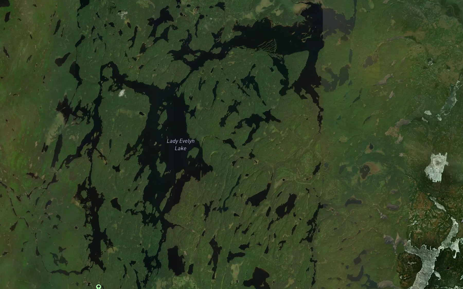 Satellite map of the Lady Evelyn Lake