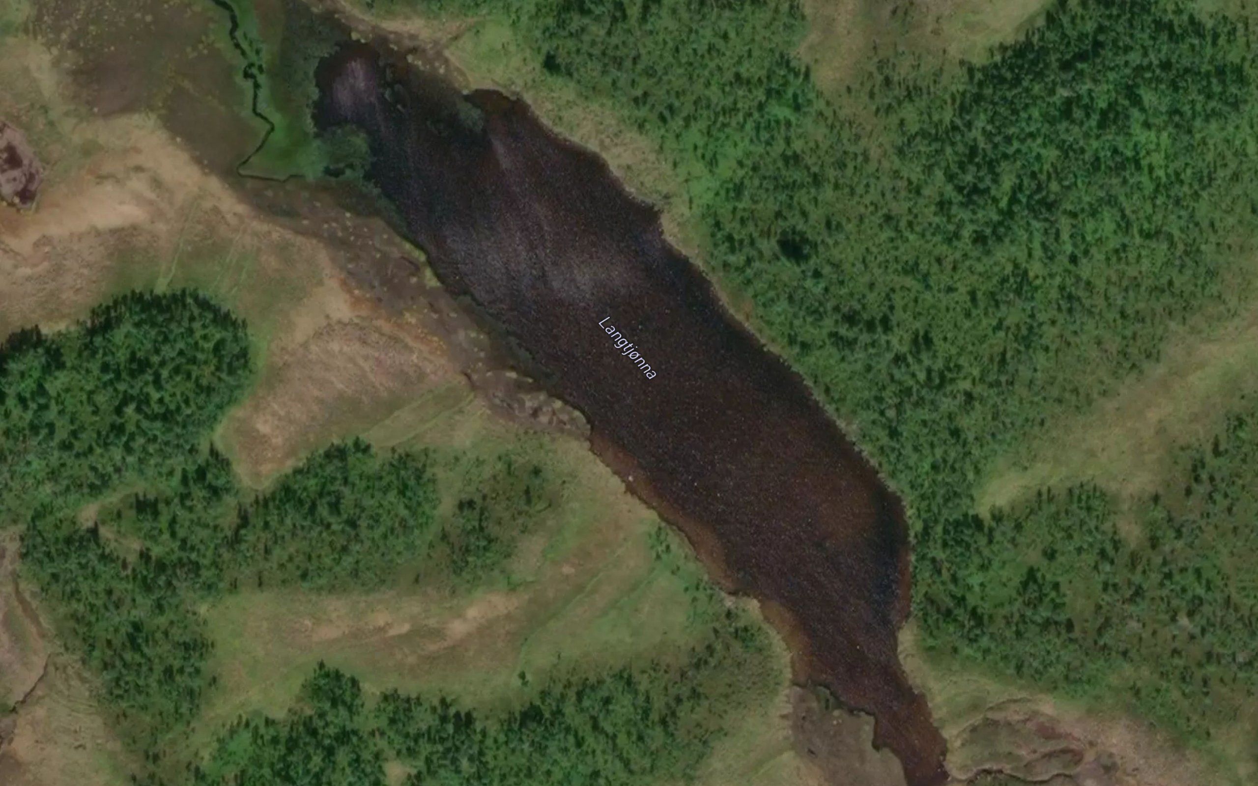 Langtjorna