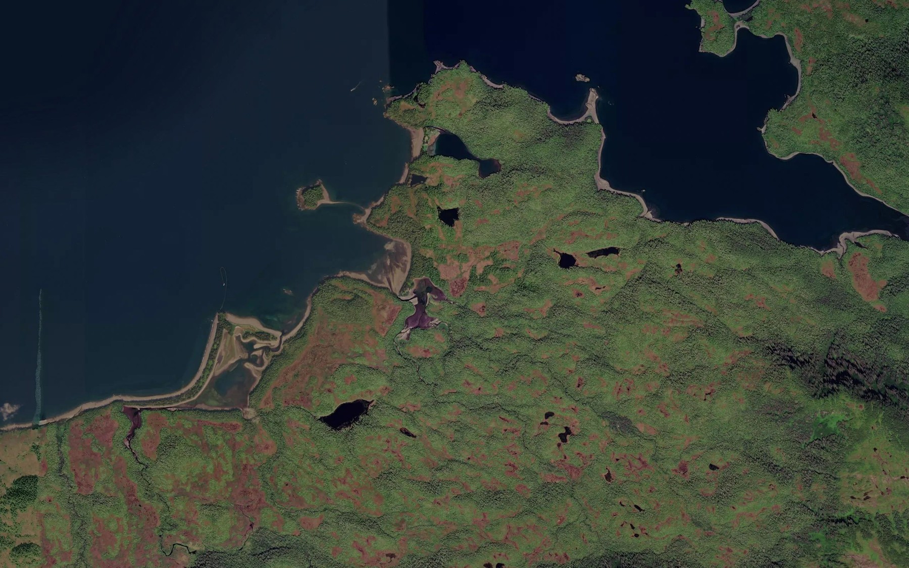 Satellite map of the Hemlock Creek