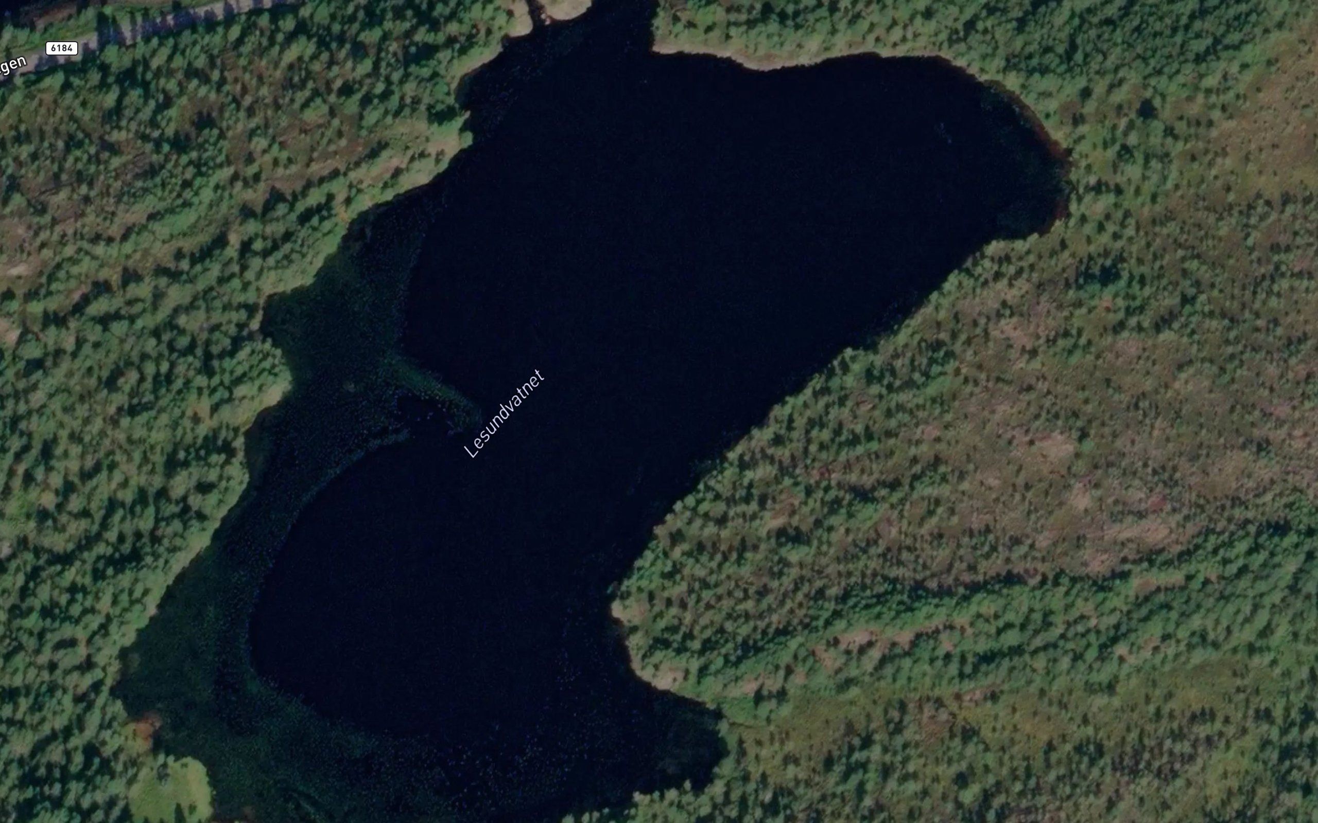 Lesundvatnet