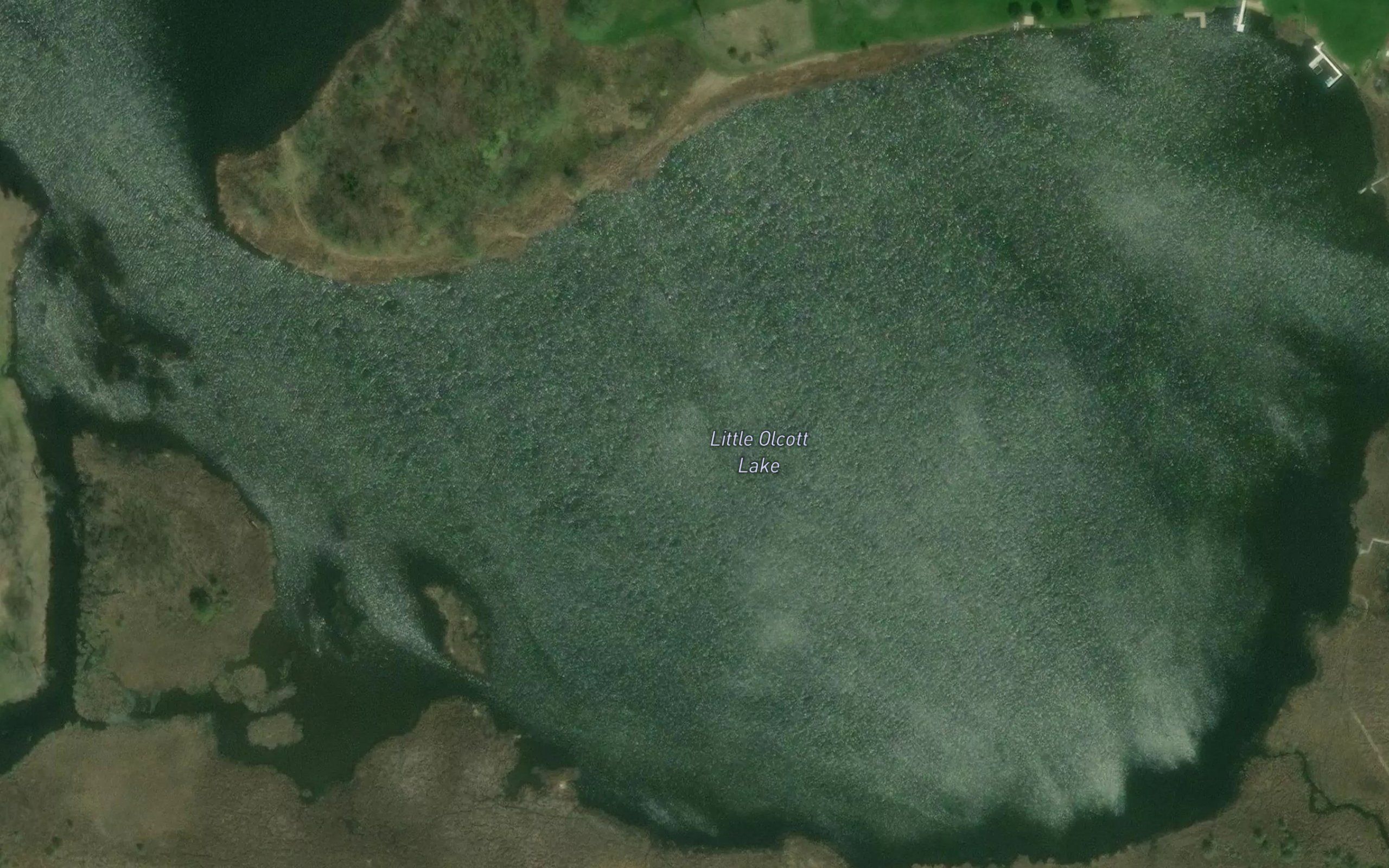 Little Olcott Lake
