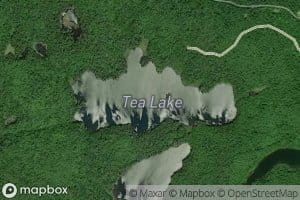 Tea Lake