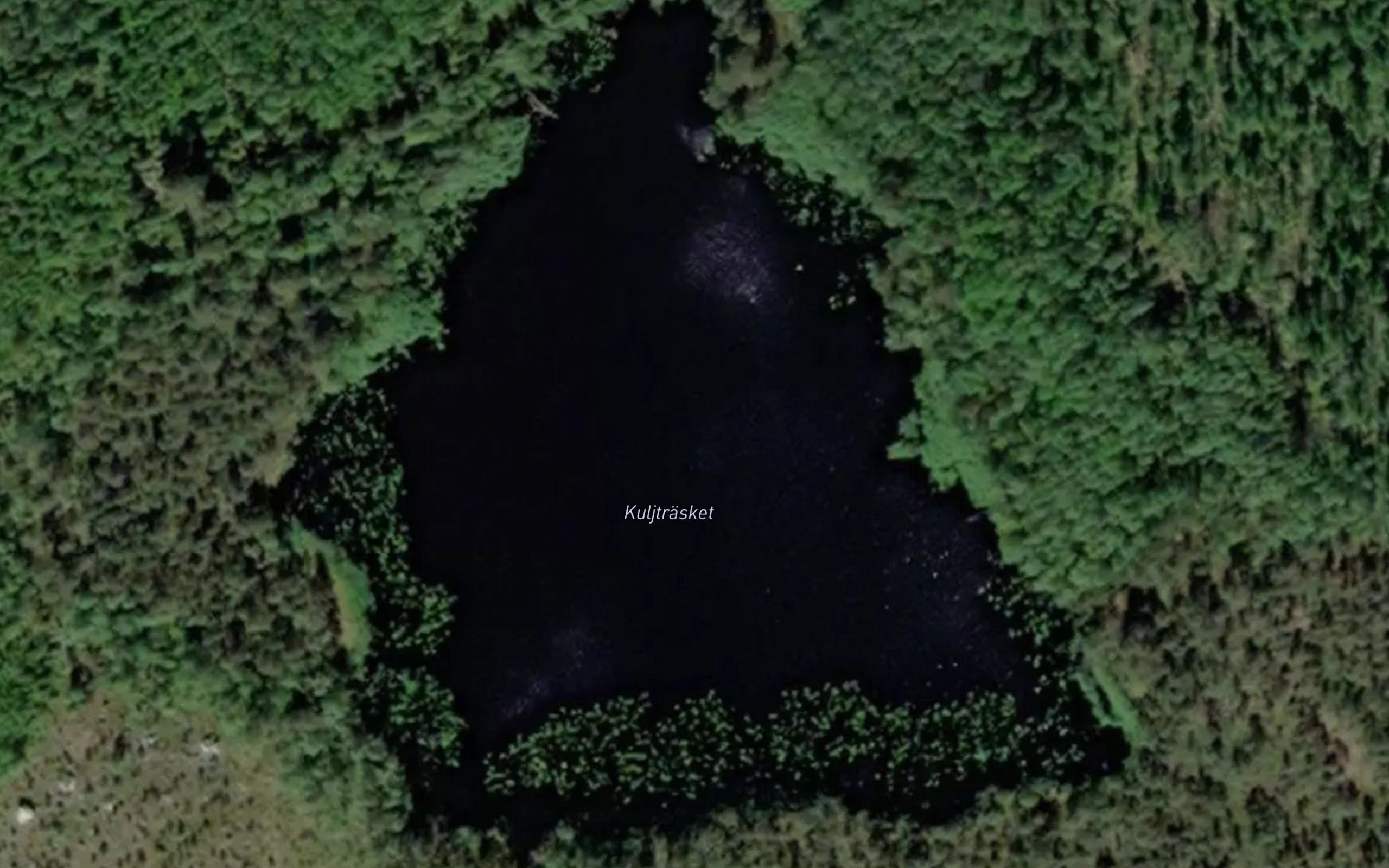 Kuljtrasket