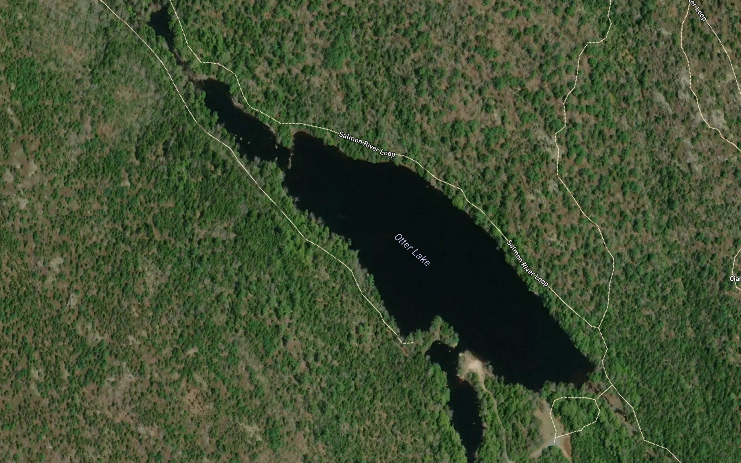 Otter Lake