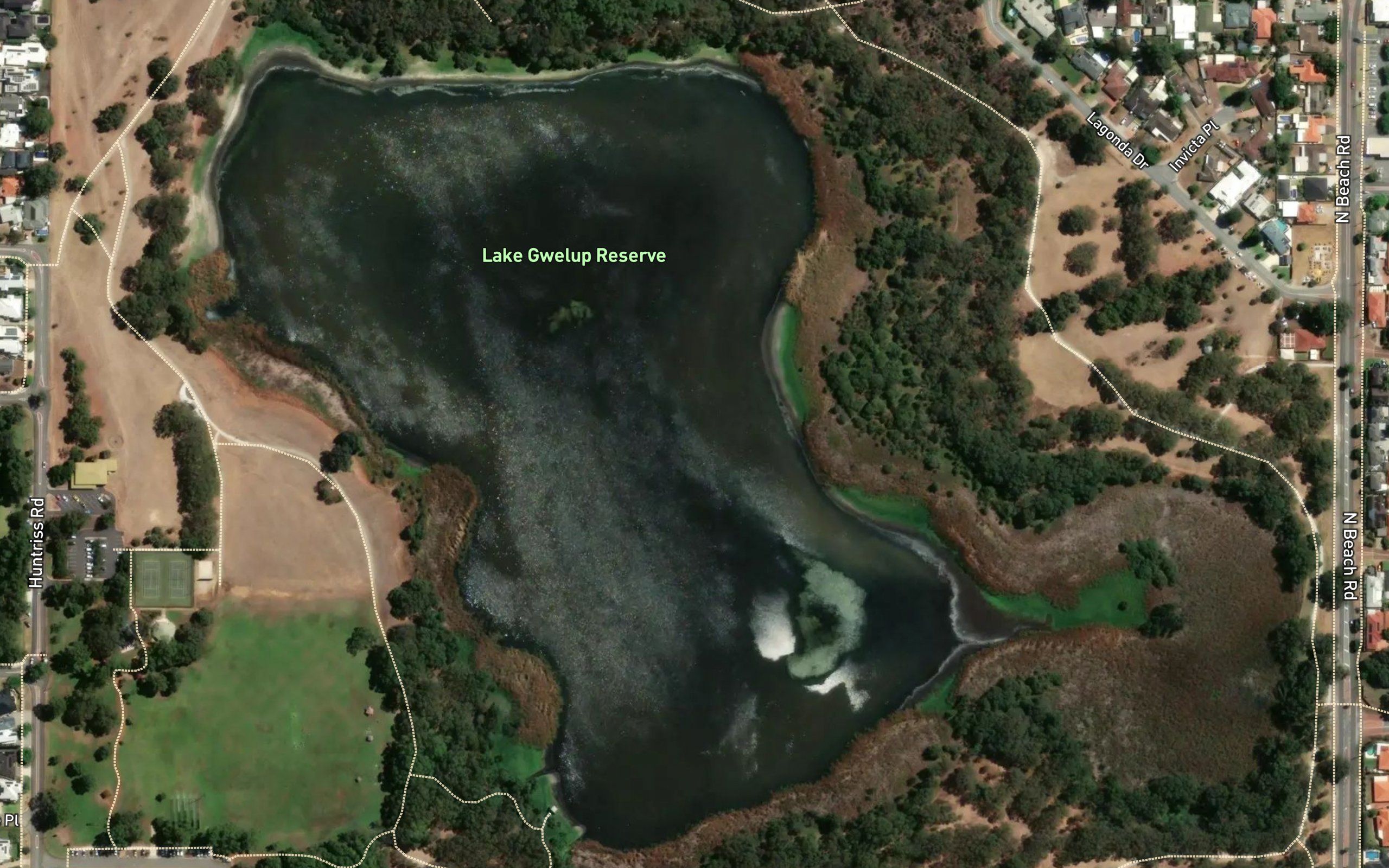 Gwelup Lake