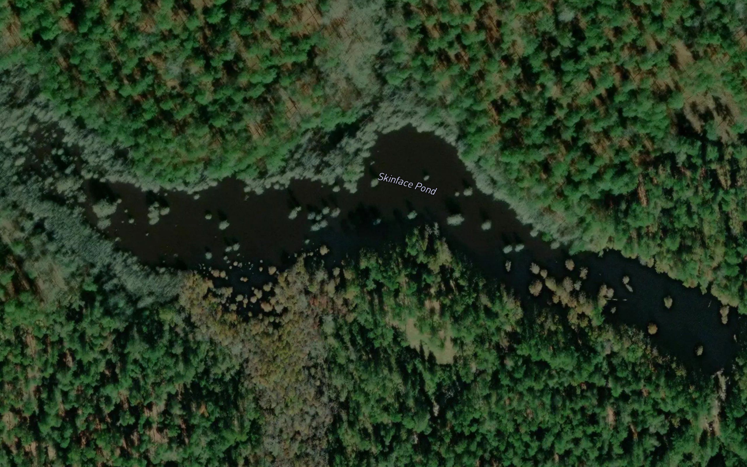 Skinface Pond
