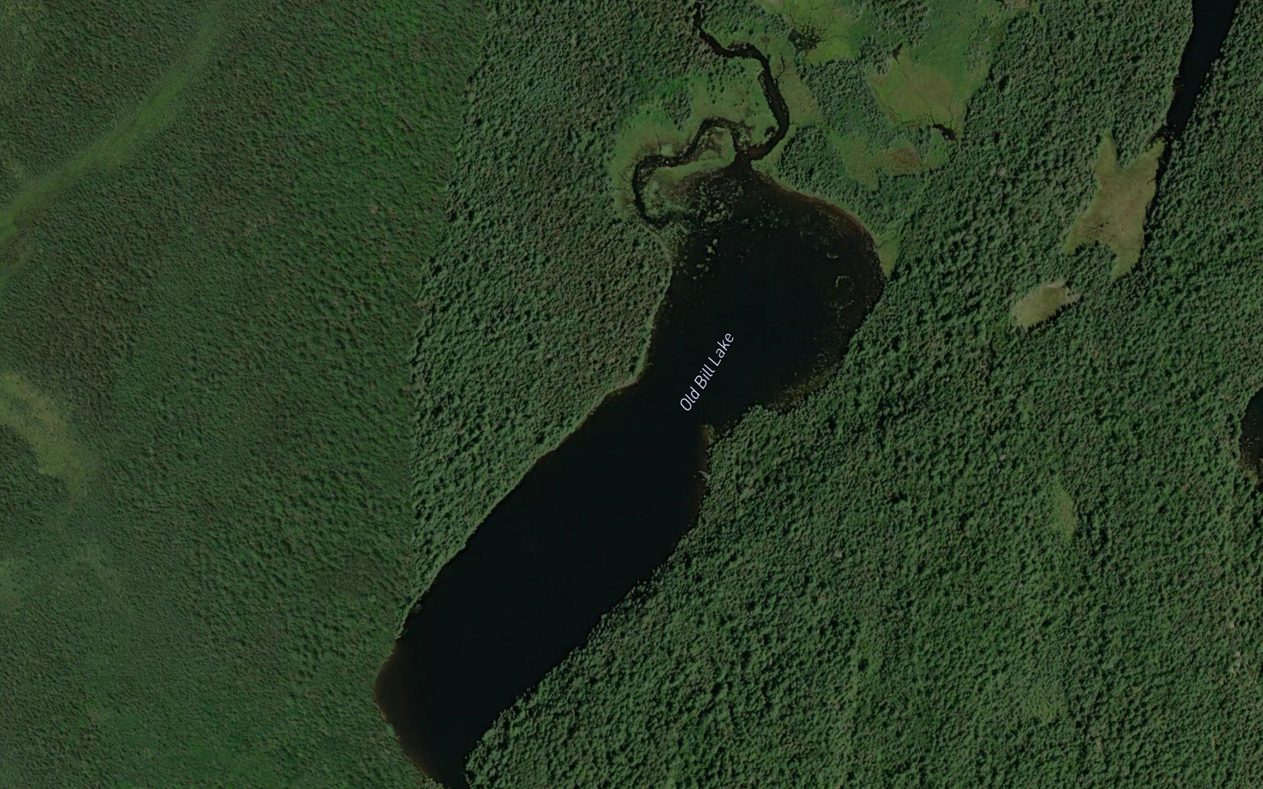 Old Bill Lake