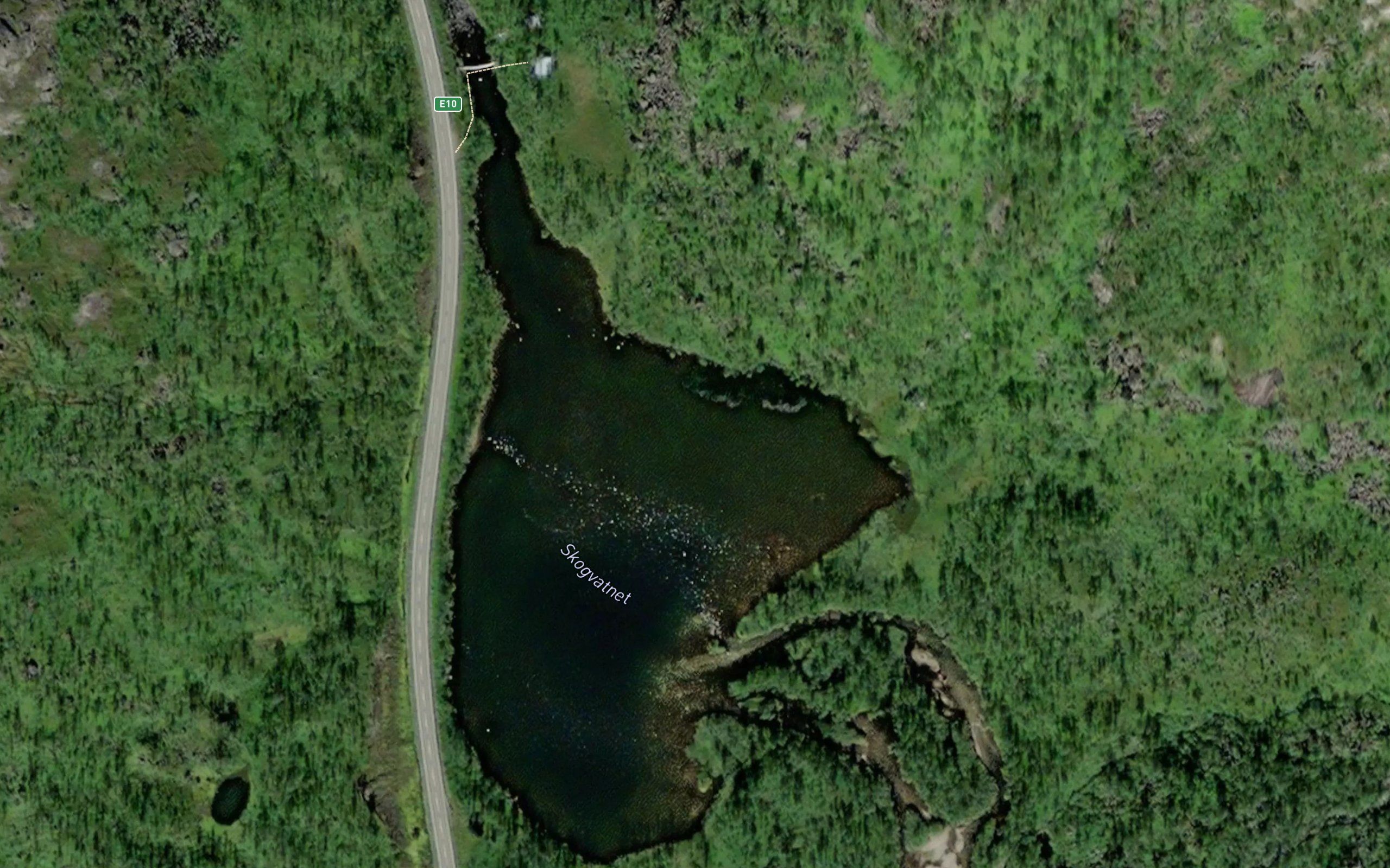 Skogvatnet
