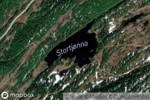Stortjorna