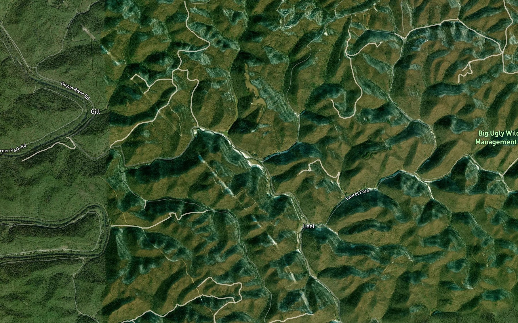 Satellite map of the Big Branch