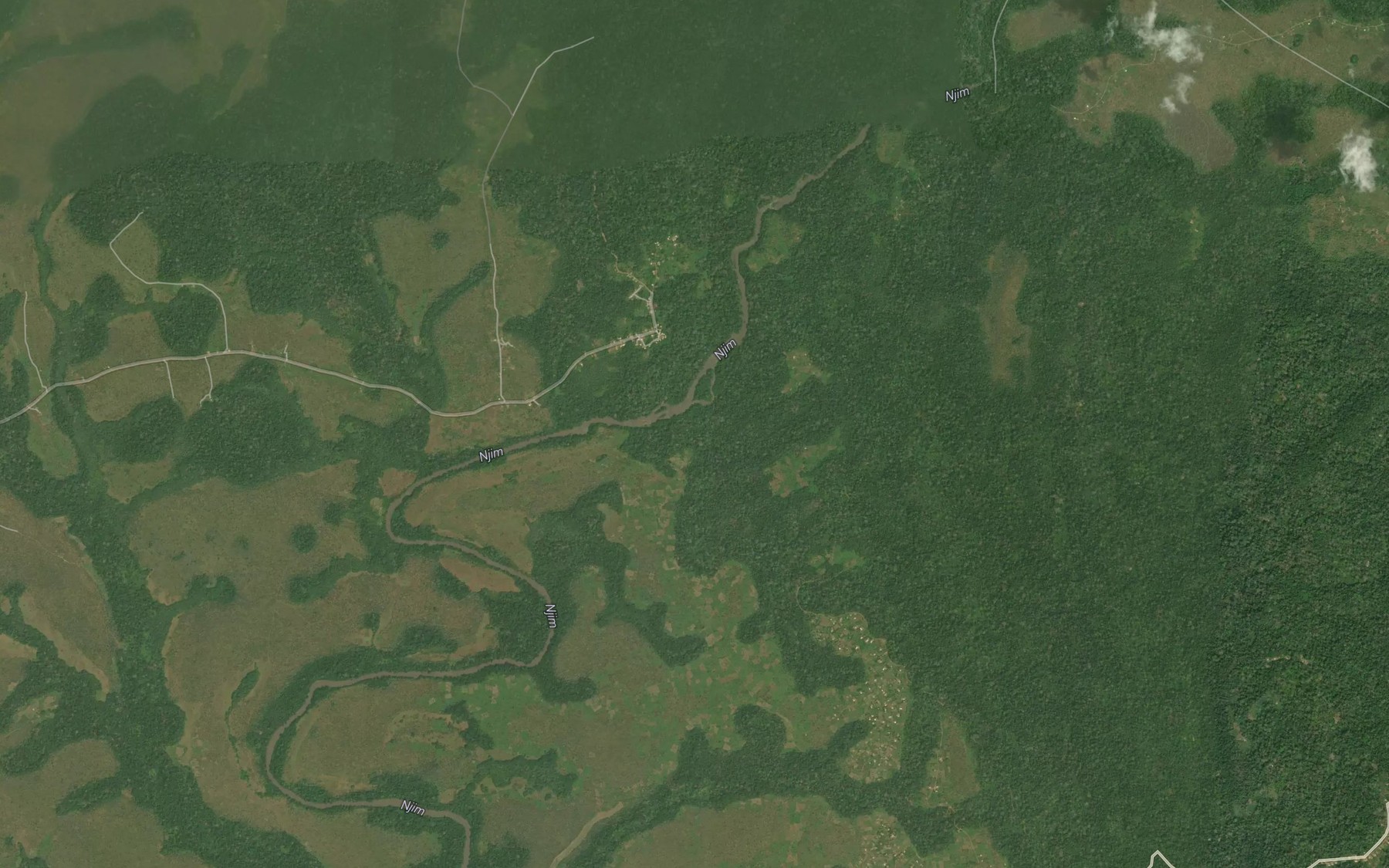 Satellite map of the Rapide Ngipoto