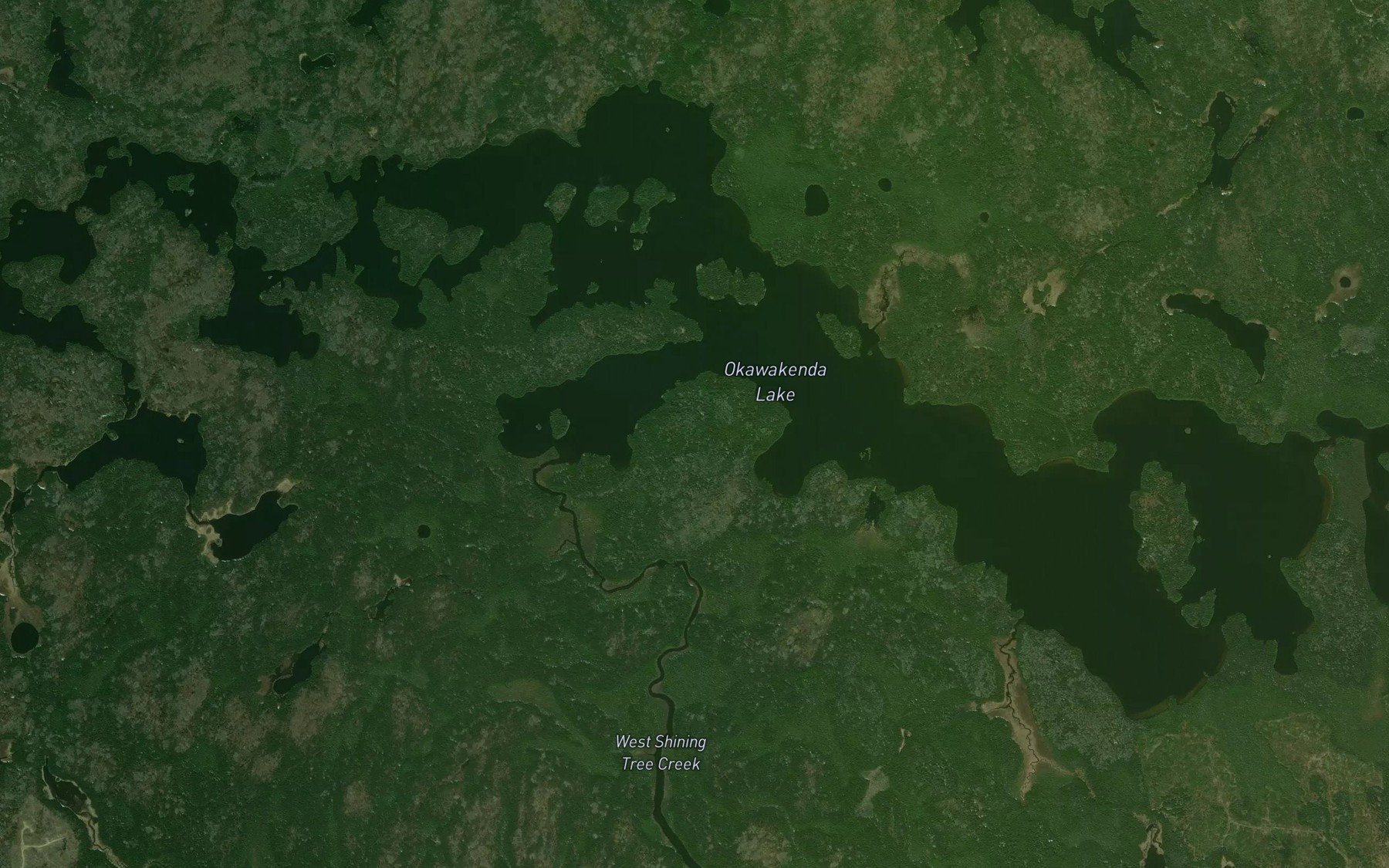 Satellite map of the West Shining Tree Creek