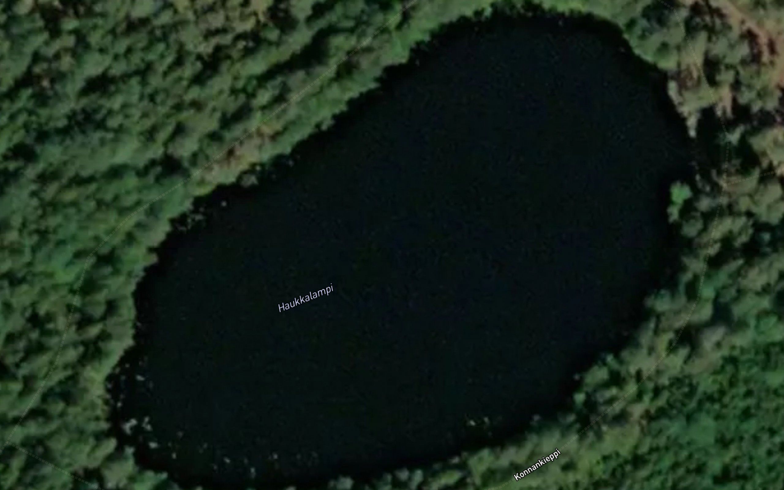 Haukkalampi