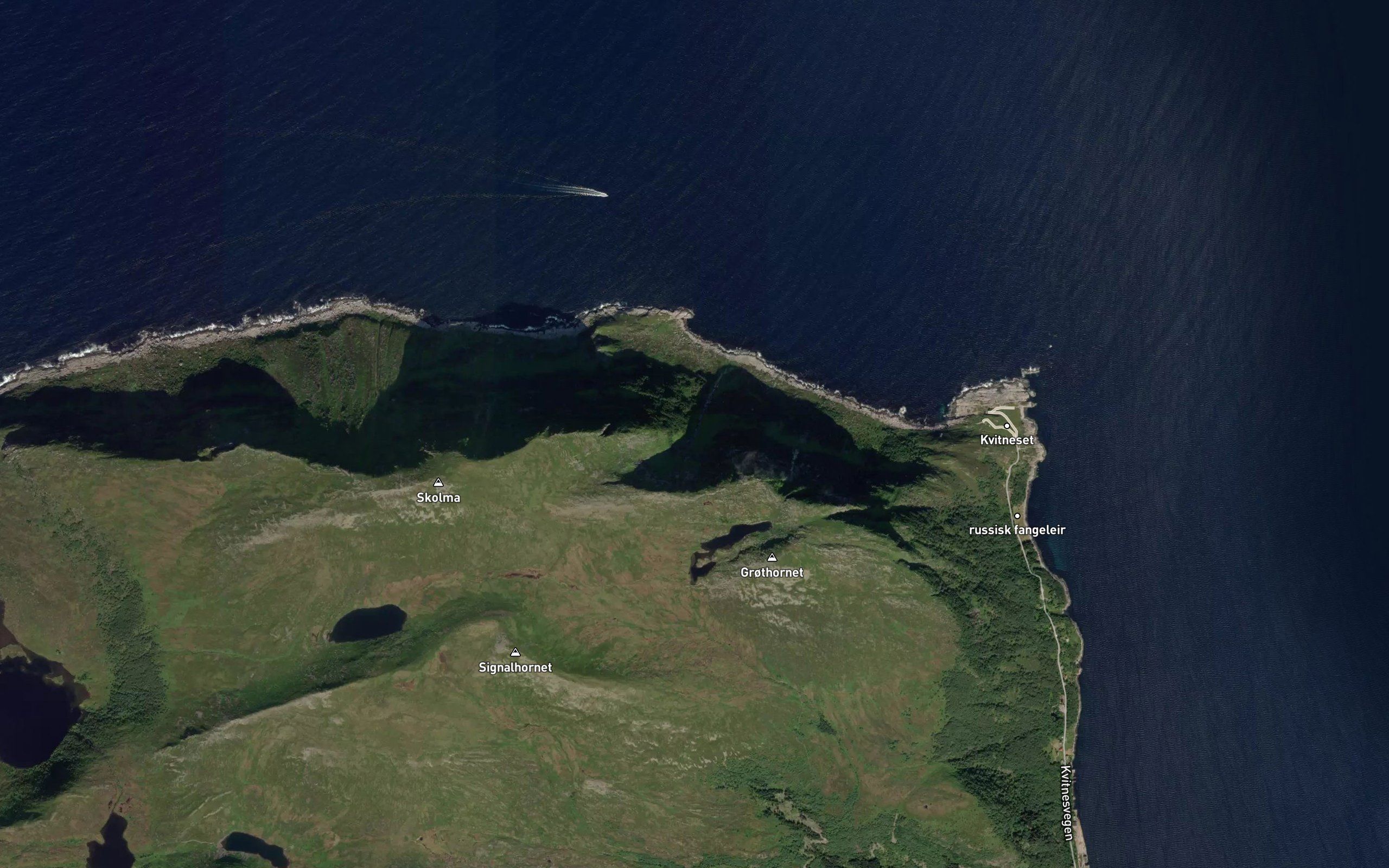 Skolmedalselva