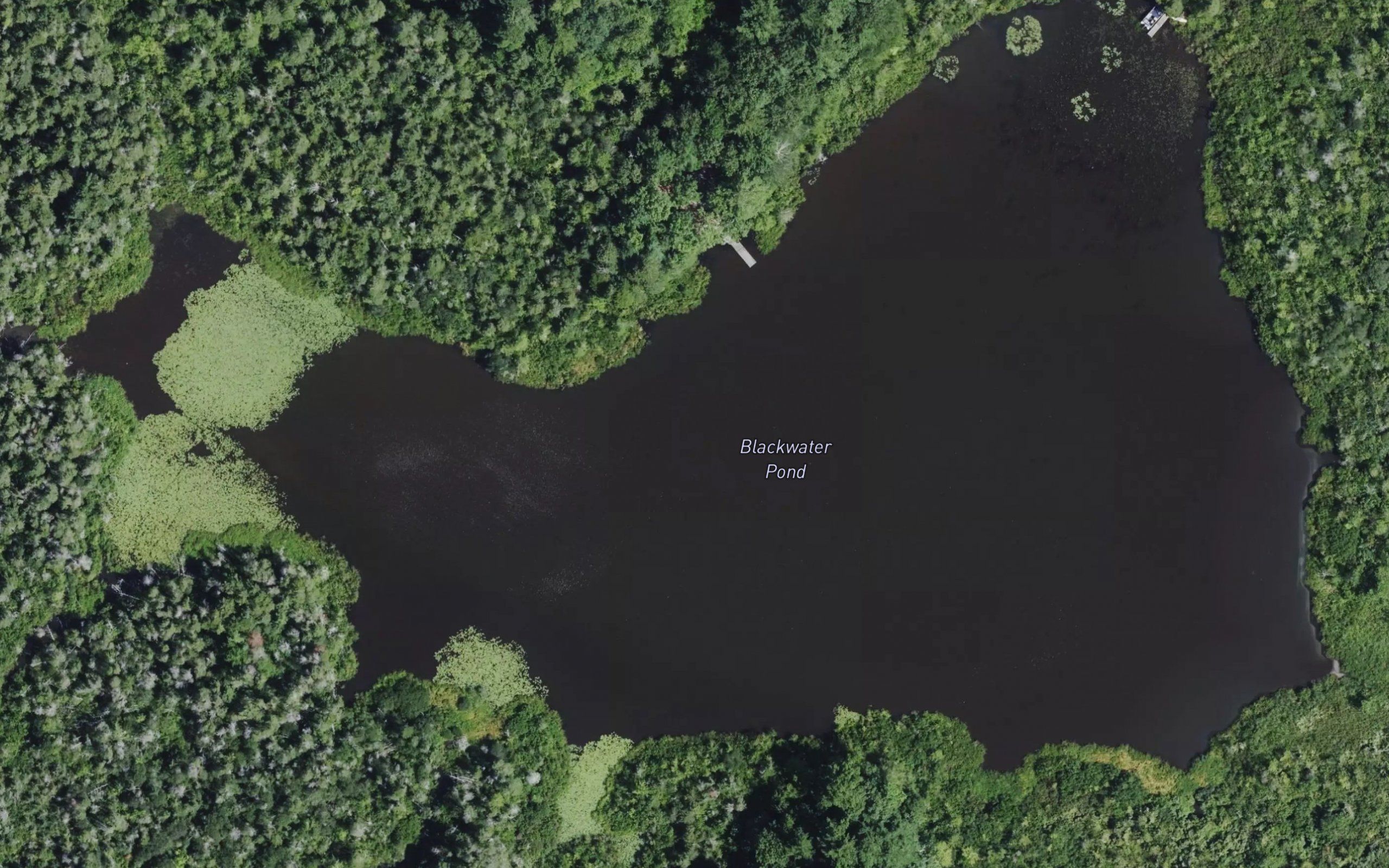 Blackwater Pond
