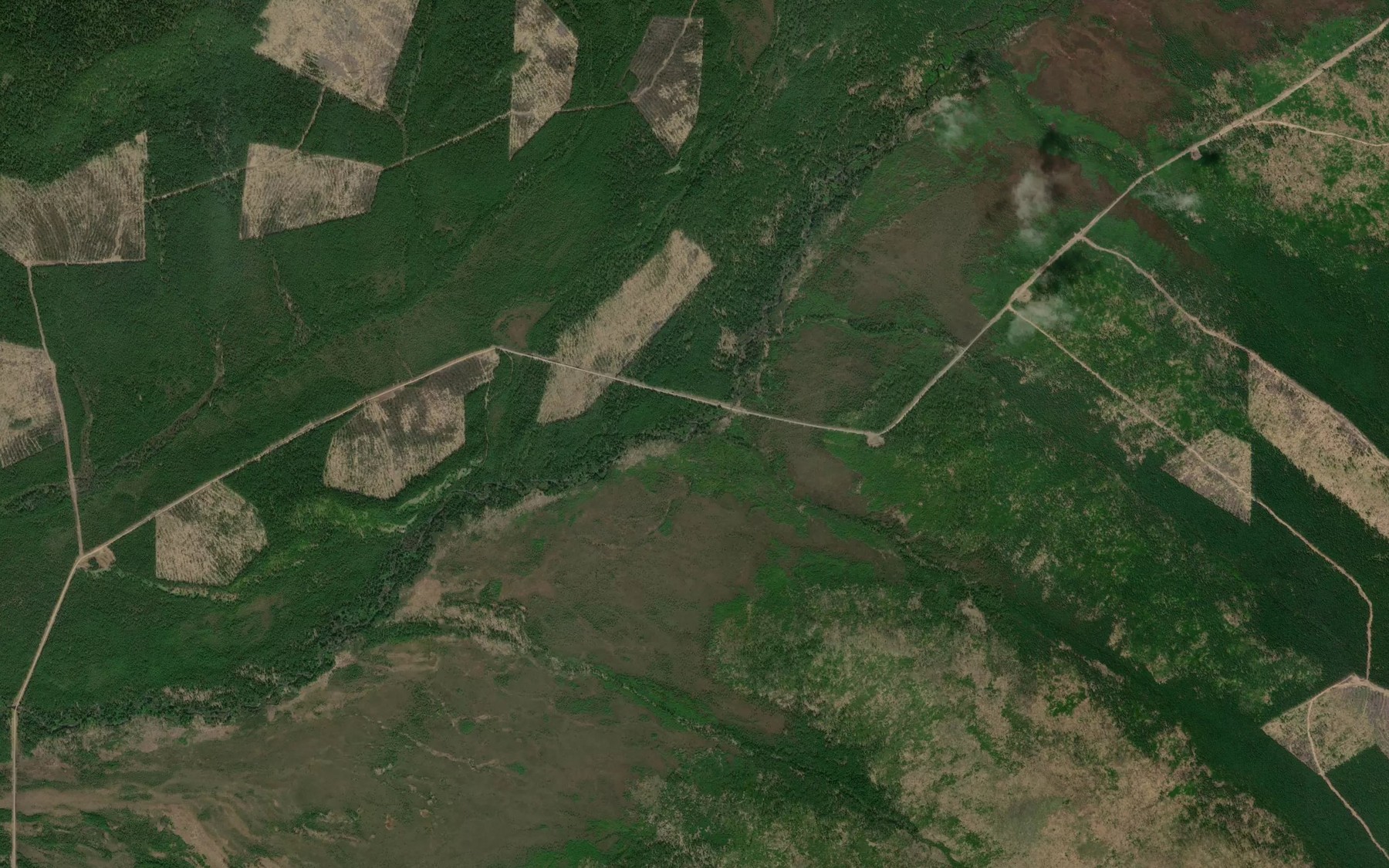 Satellite map of the Nizhniy Lesnoy