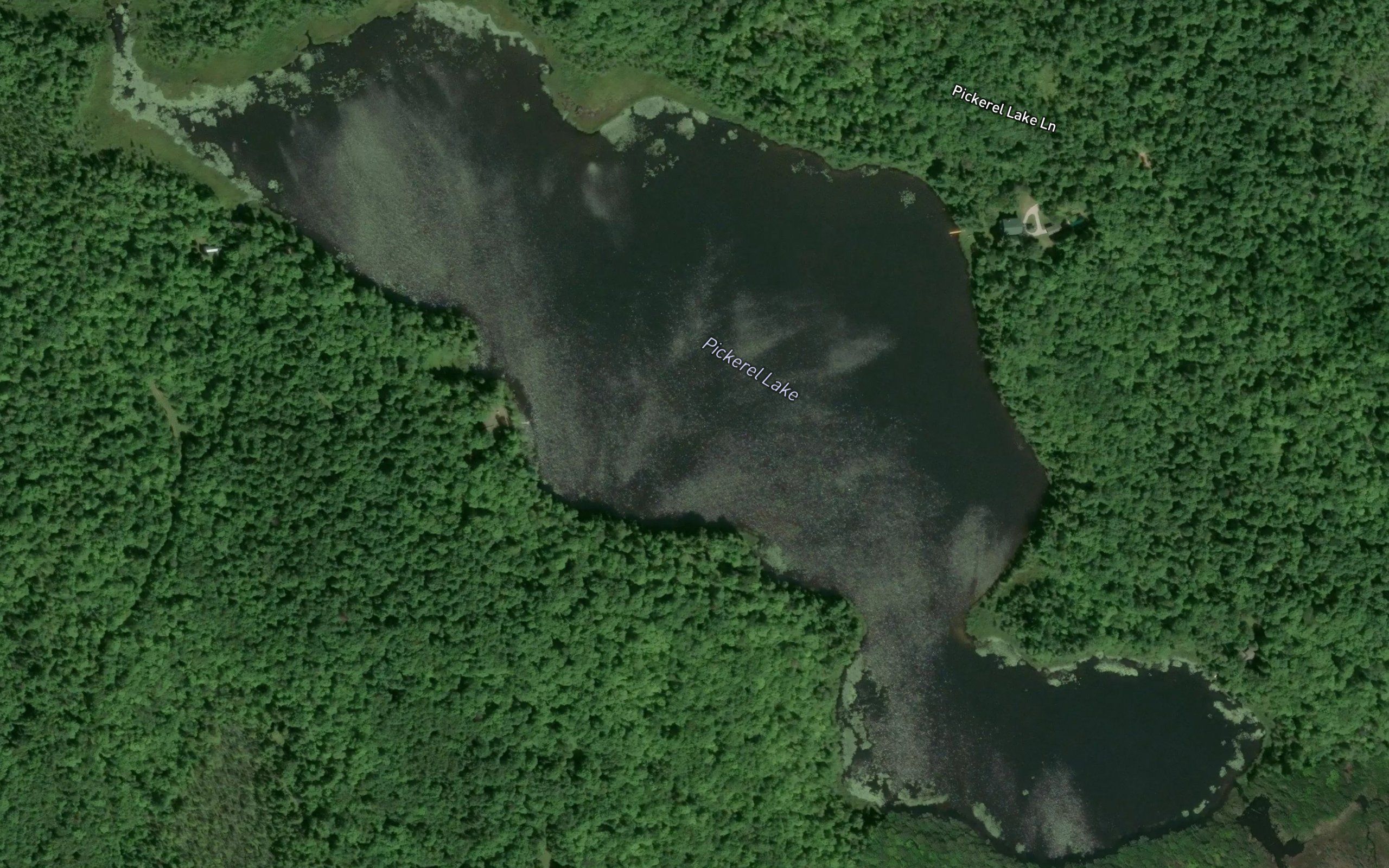 Pickerel Lake