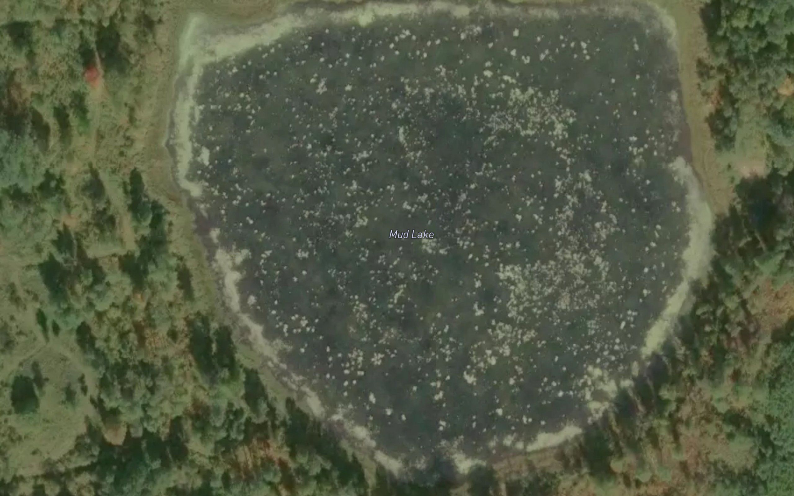 Mud Lake