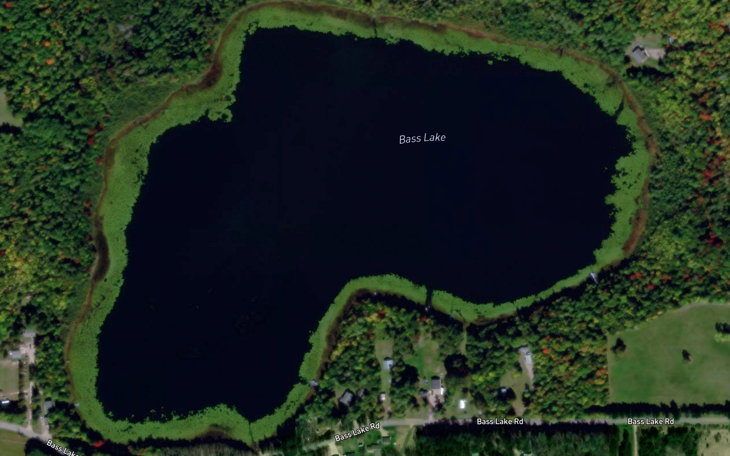 Bass Lake