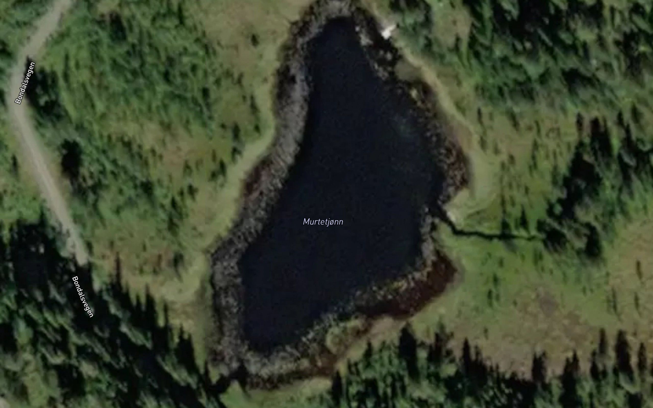 Murtetjonn