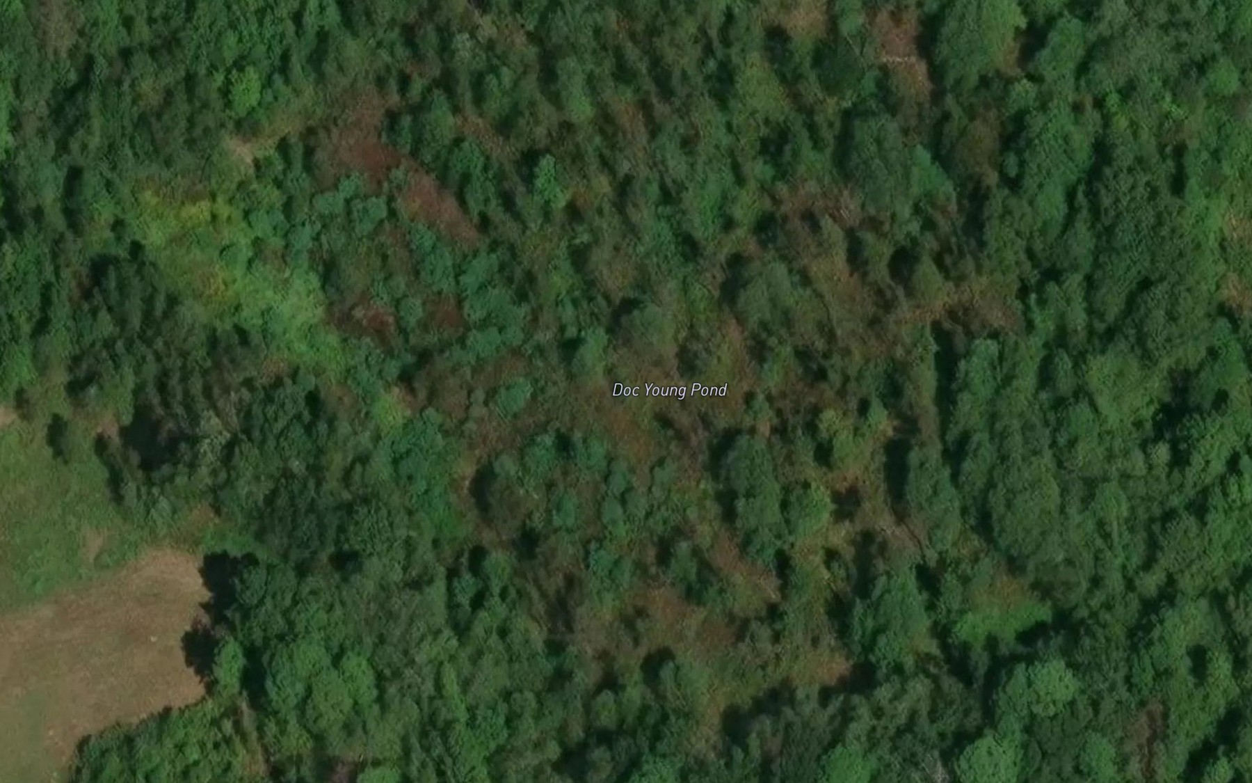 Satellite map of the Doc Young Pond
