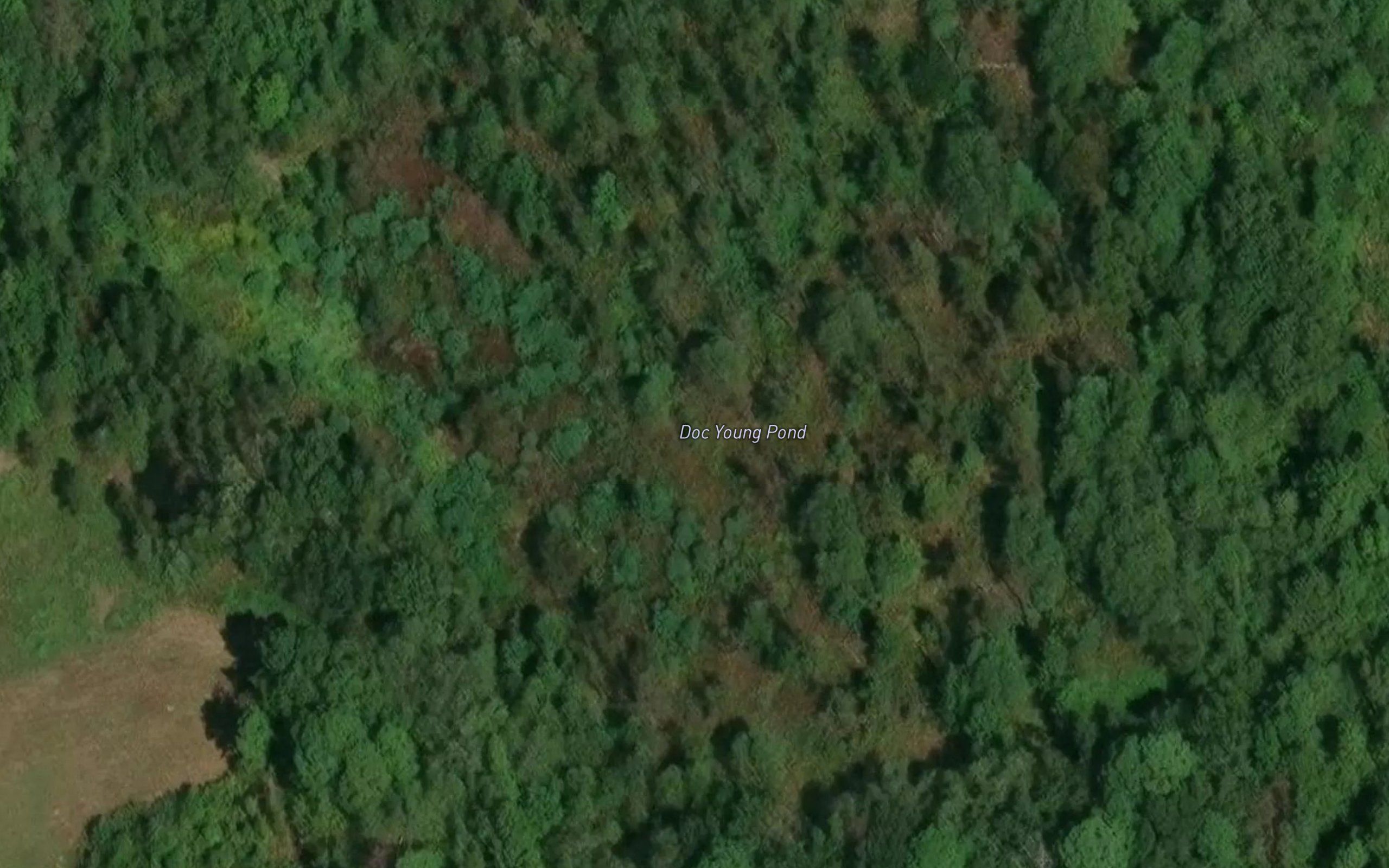 Doc Young Pond