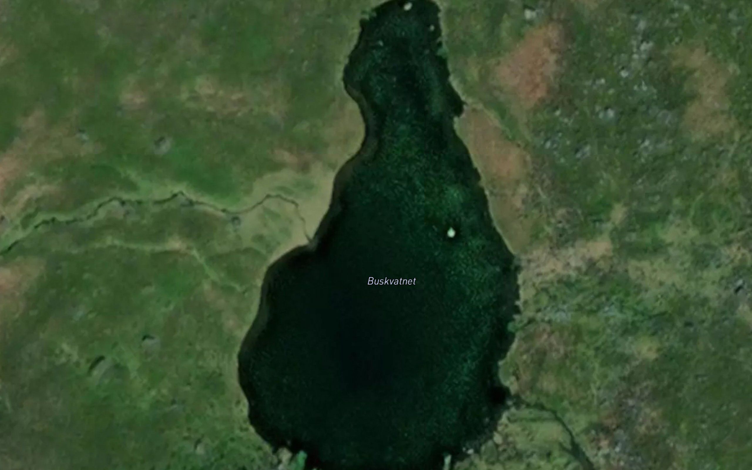 Buskvatnet