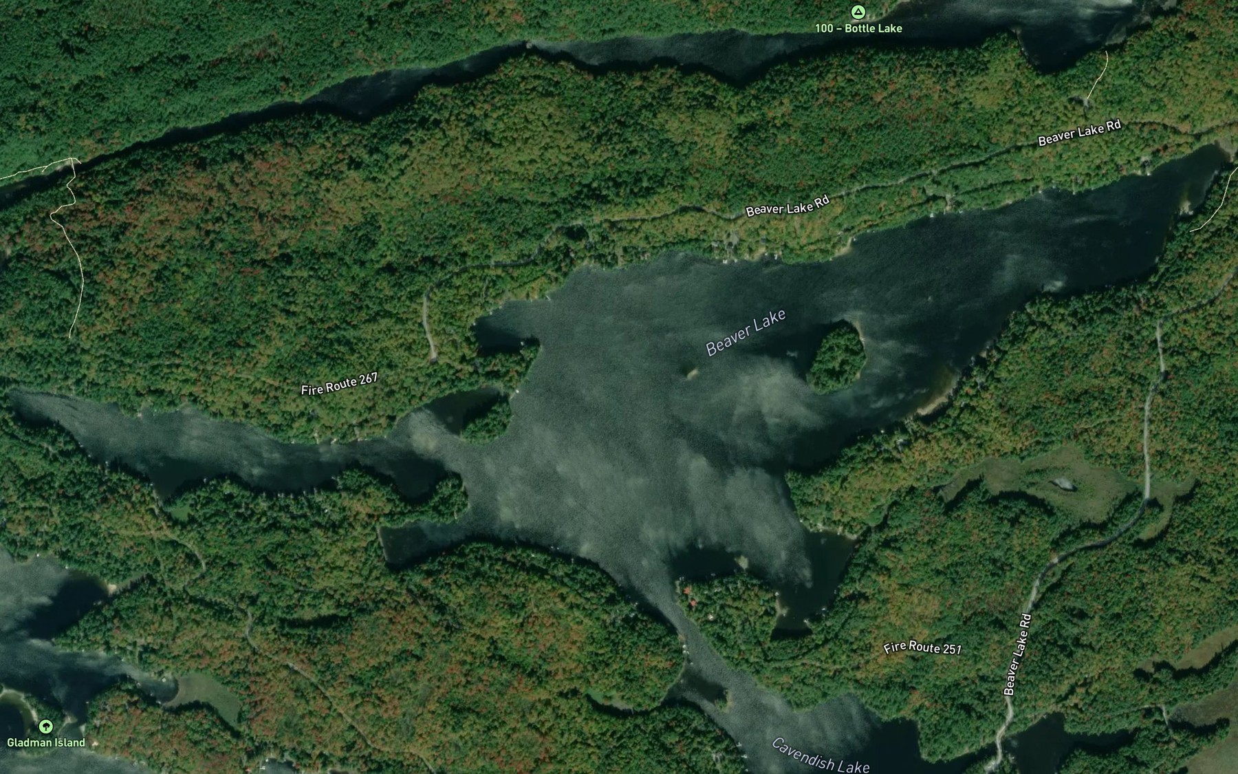 Satellite map of the Beaver Lake