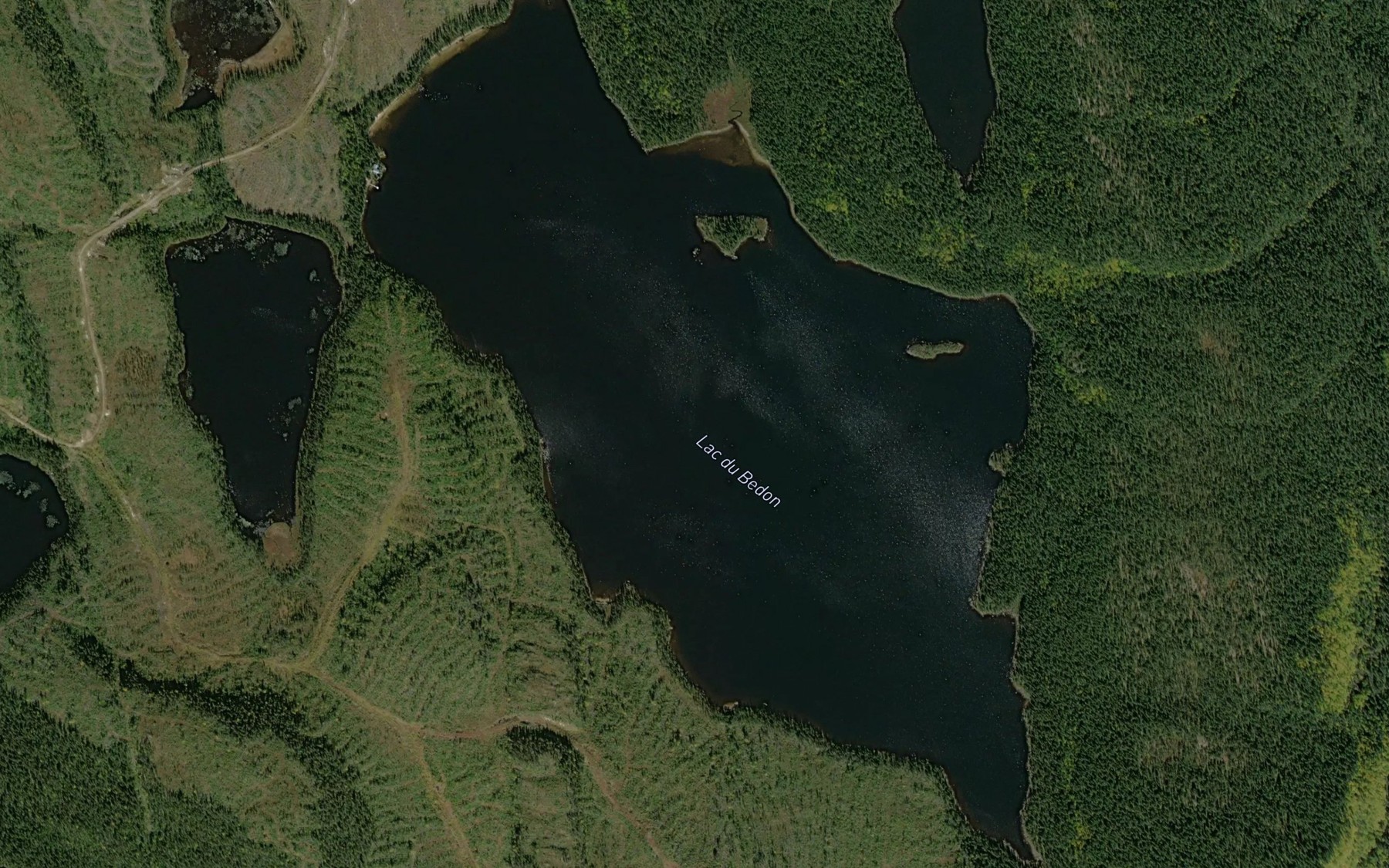 Satellite map of the Lac du Bedon