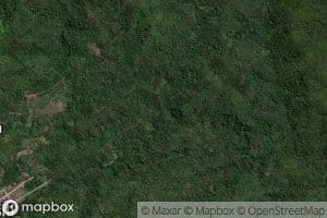 Royongan Makasililambot