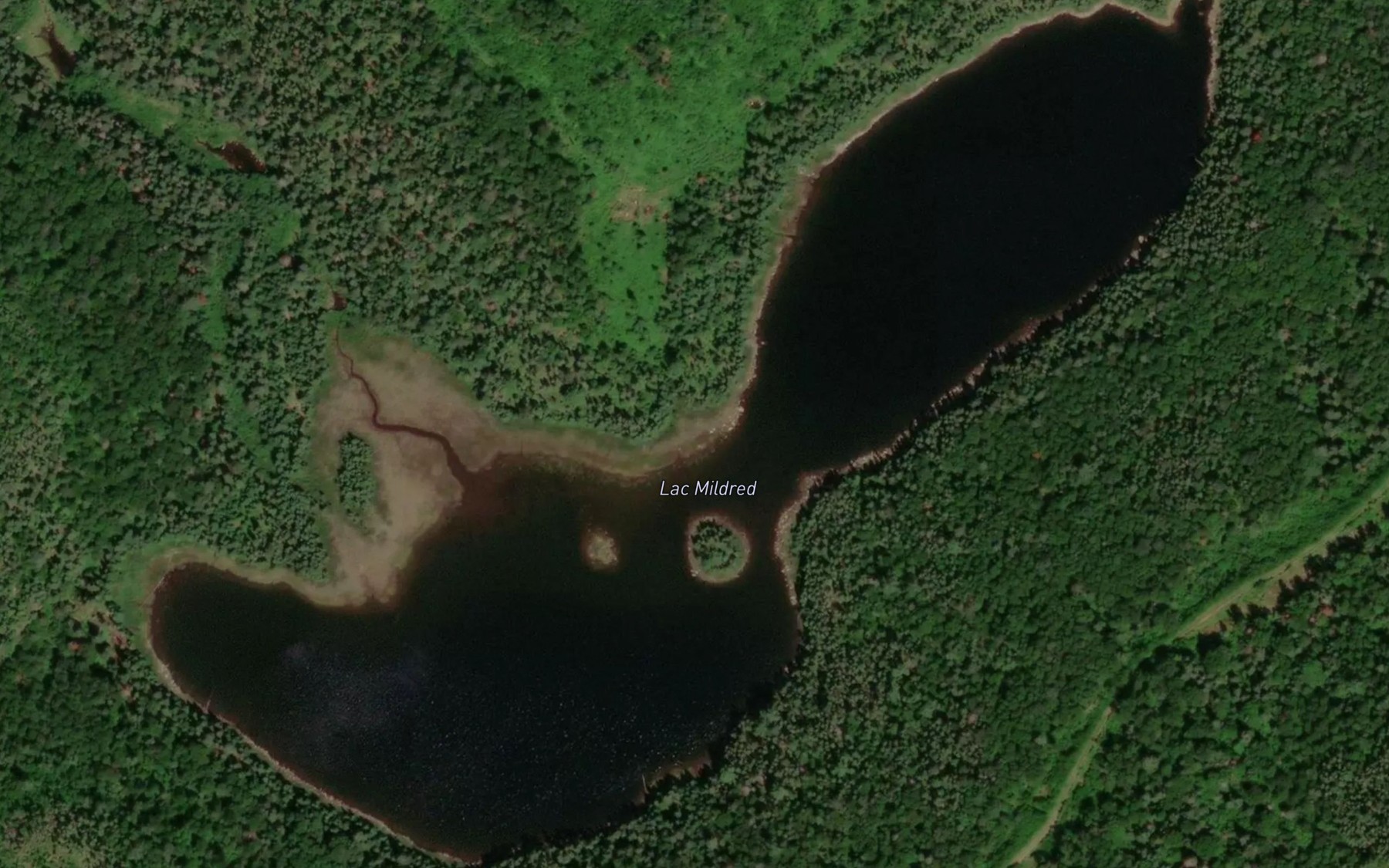 Satellite map of the Lac Mildred