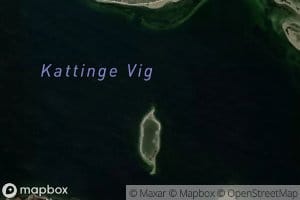 Kattinge Vig