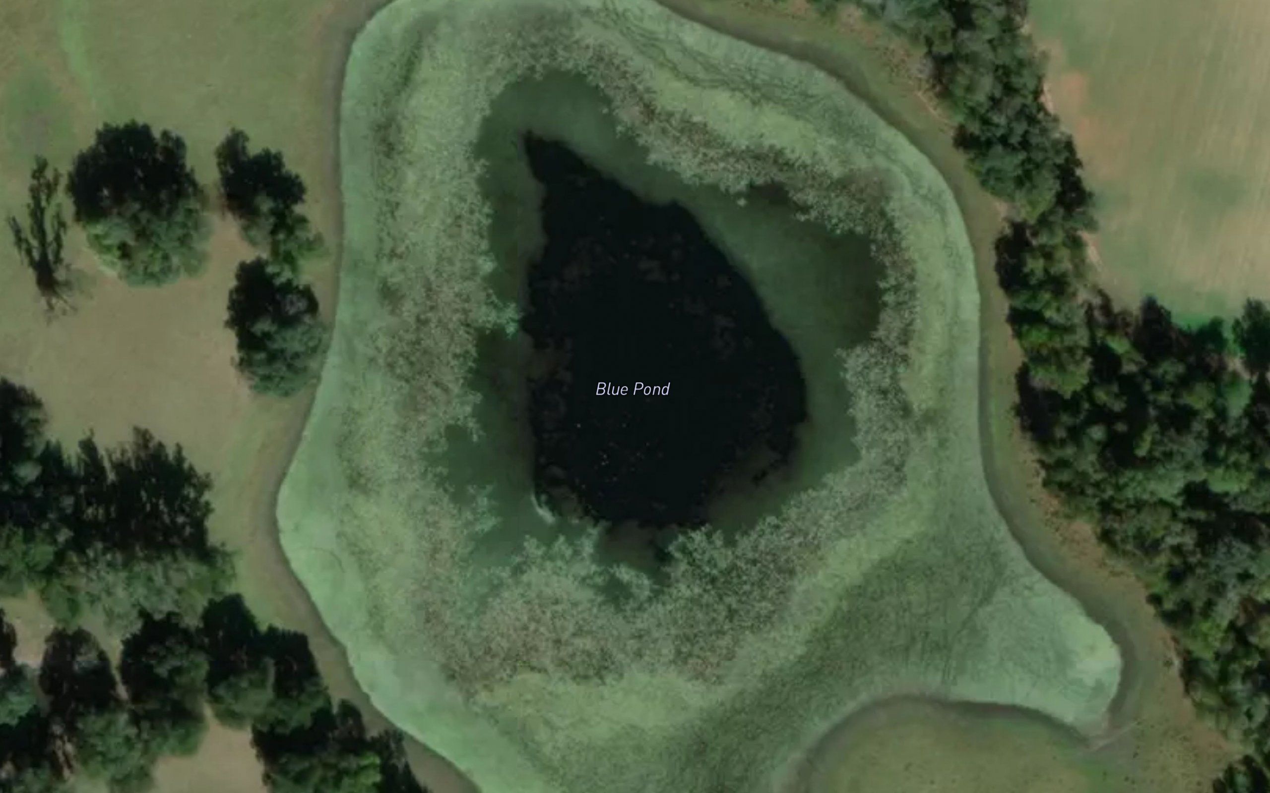 Blue Pond
