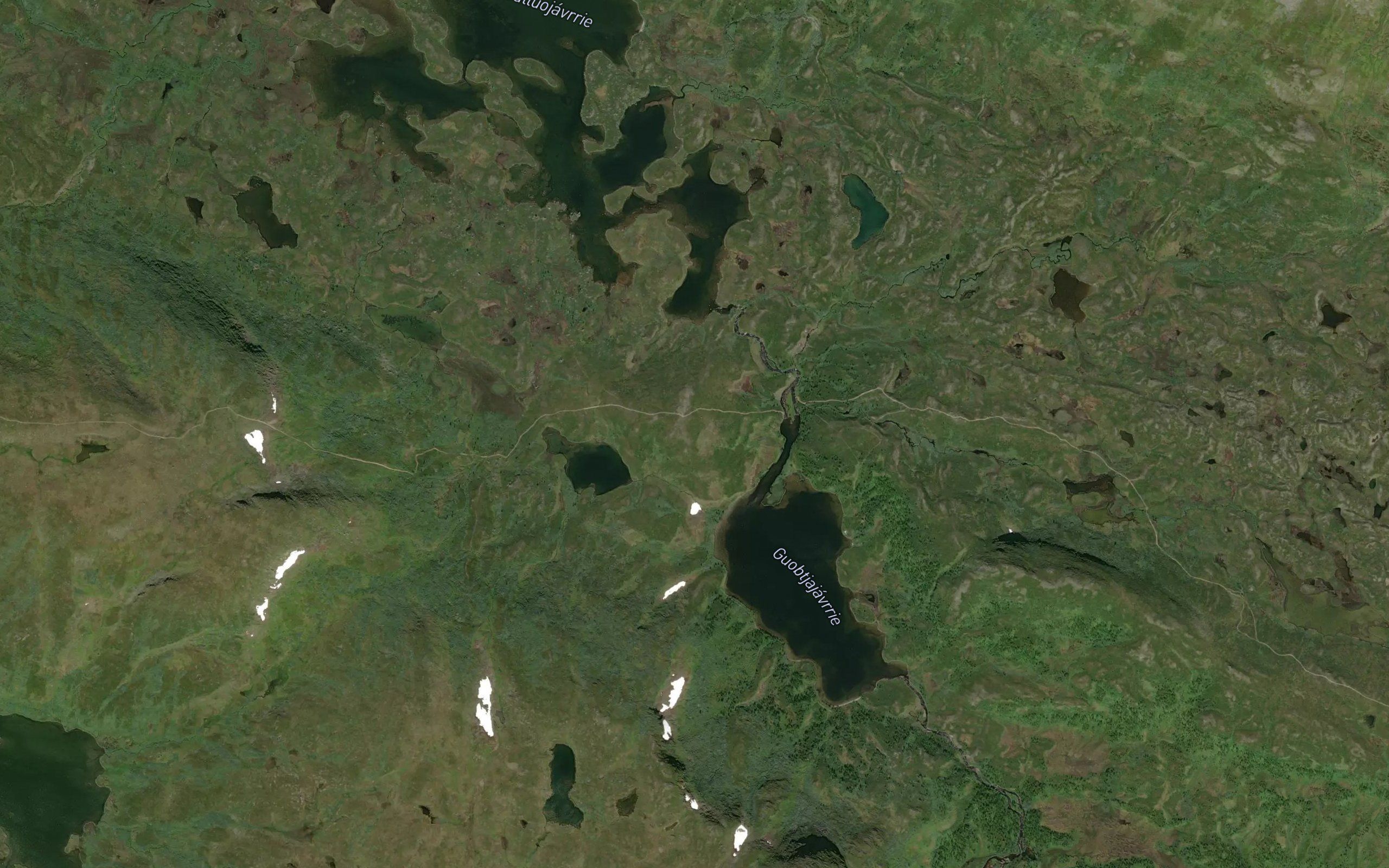 Fiellojaure