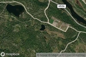 Kvitstenstjorna