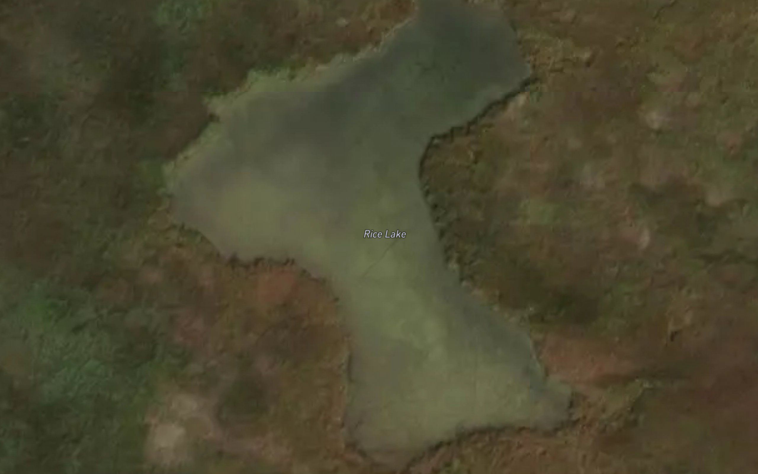 Rice Lake