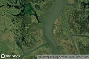Bayou Copasaw