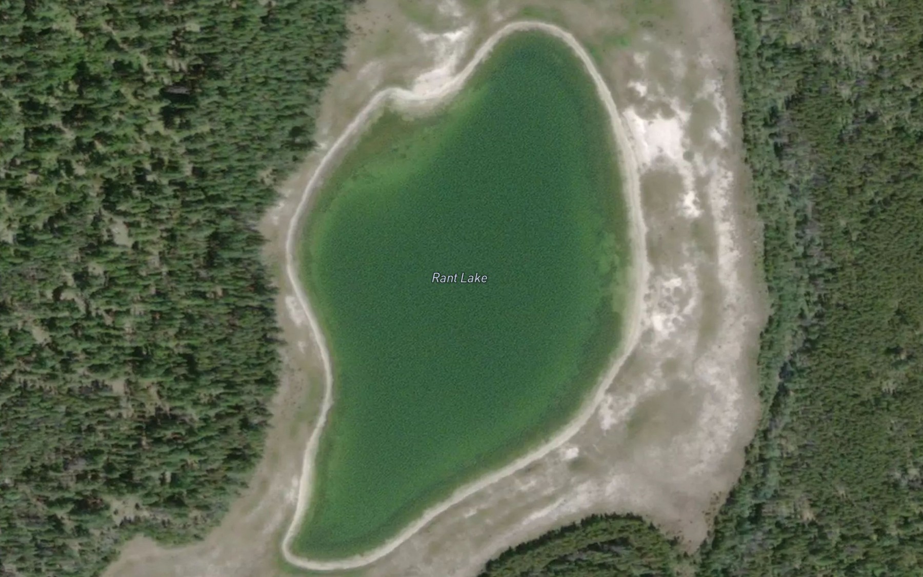 Satellite map of the Rant Lake