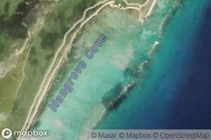 Mangrove Cove