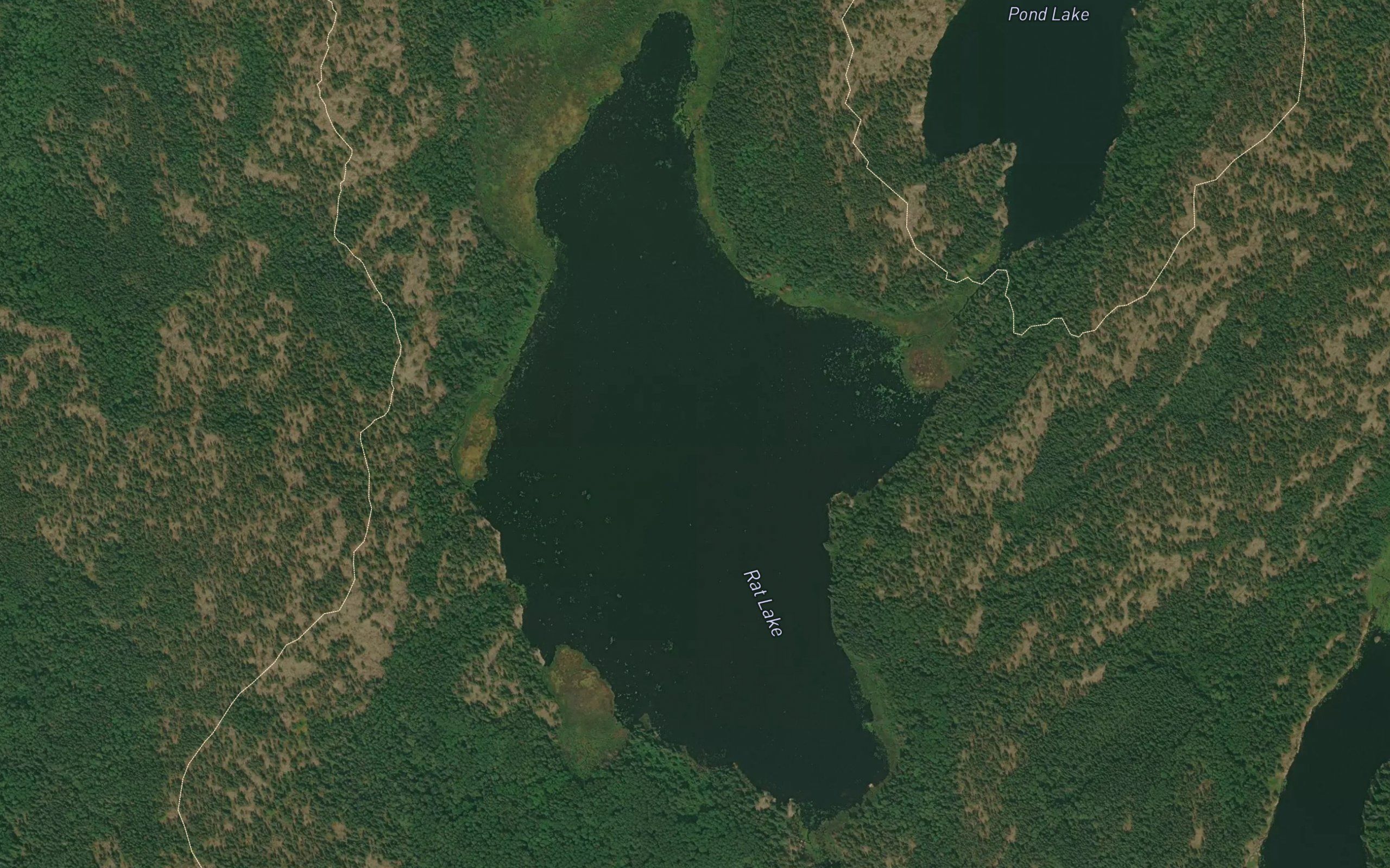 Rat Lake
