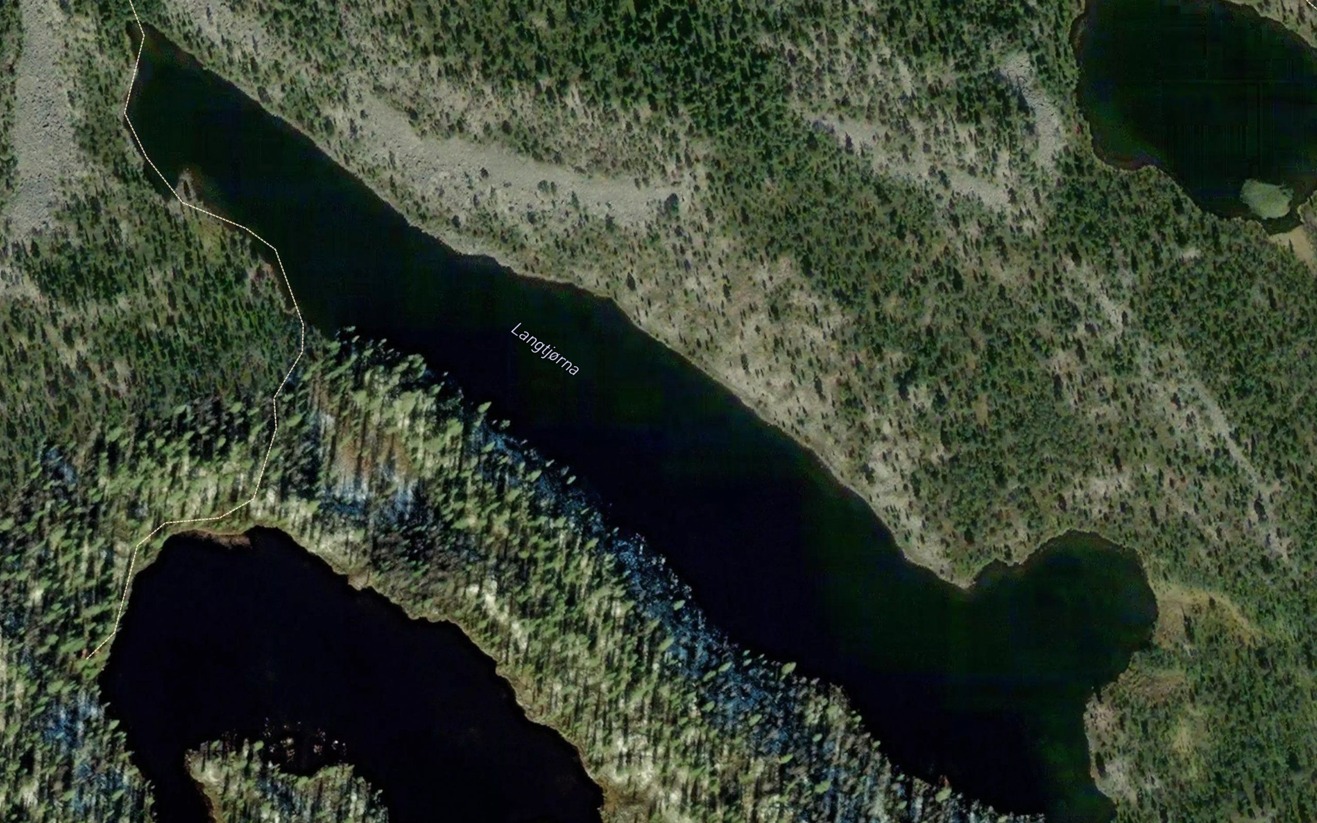 Langtjonna