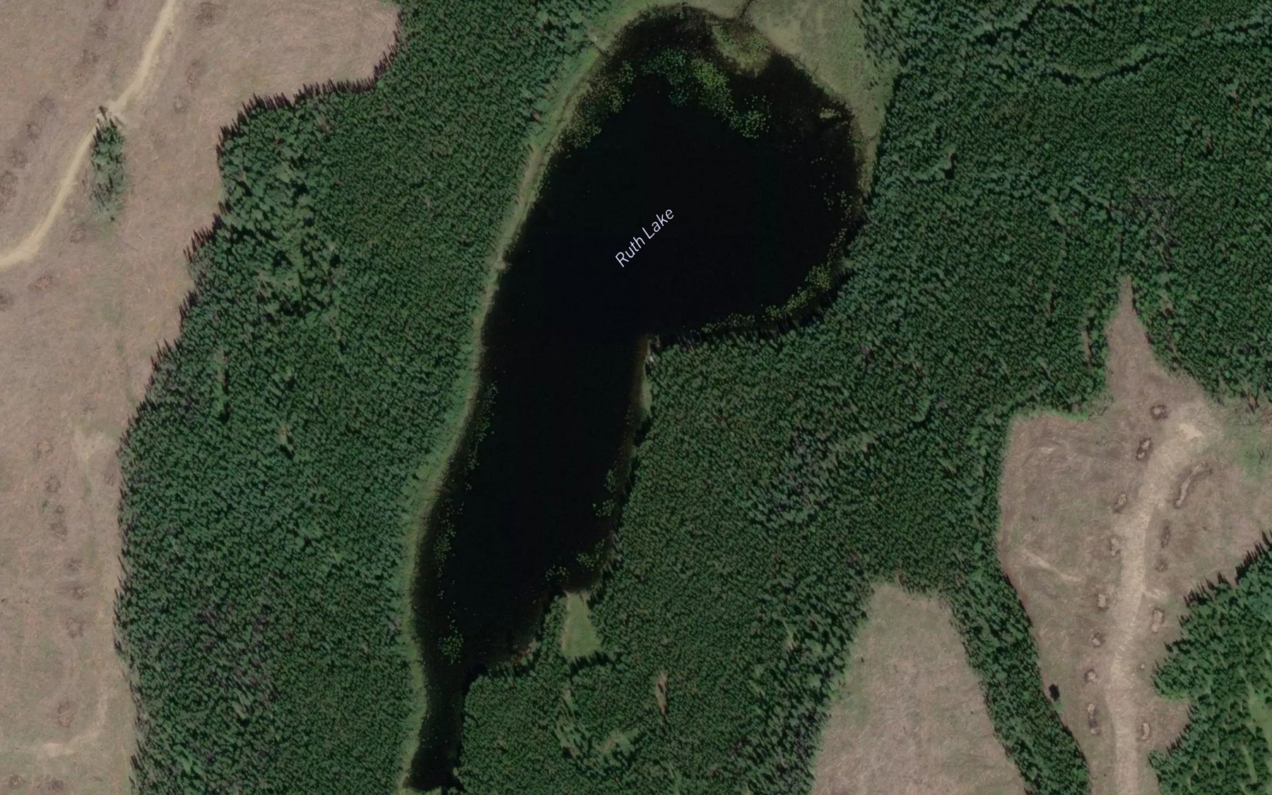 Satellite map of the Ruth Lake