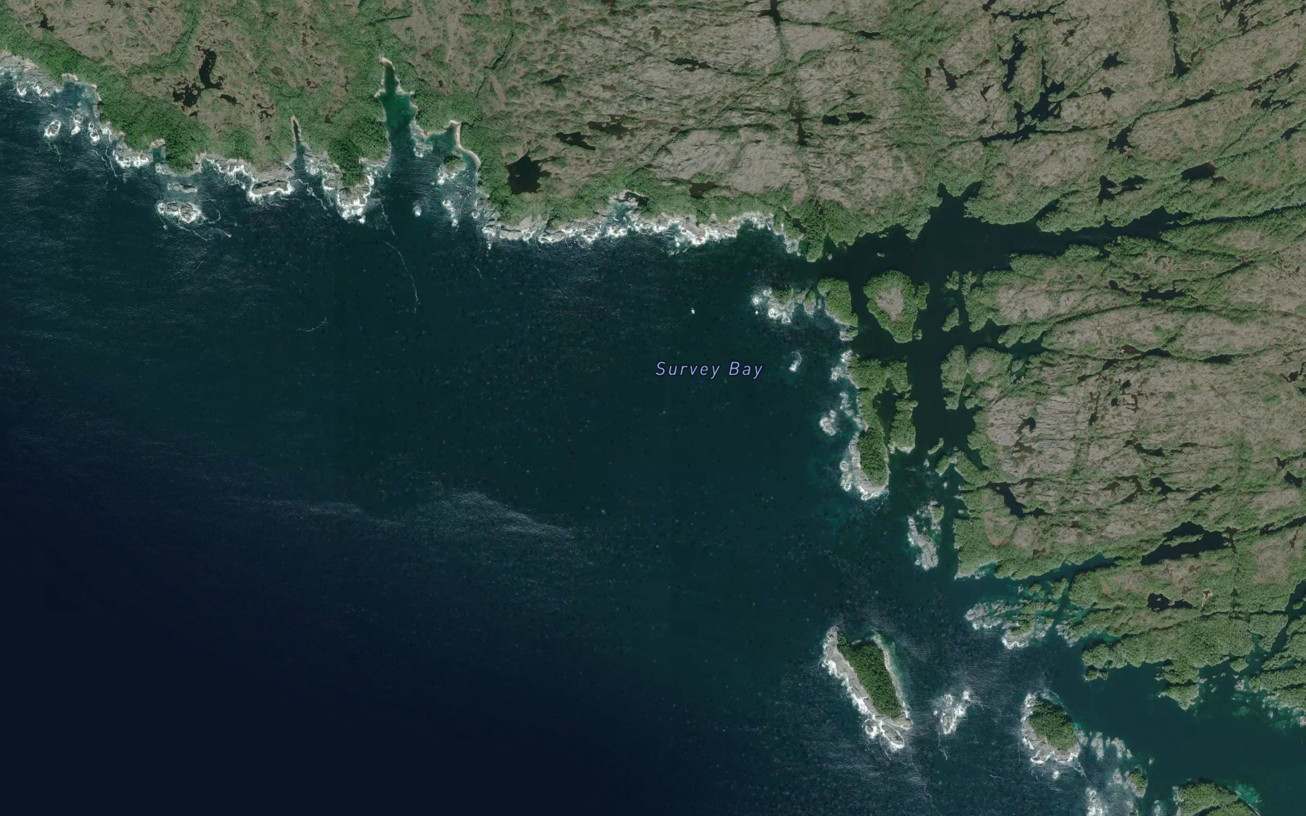 Survey Bay