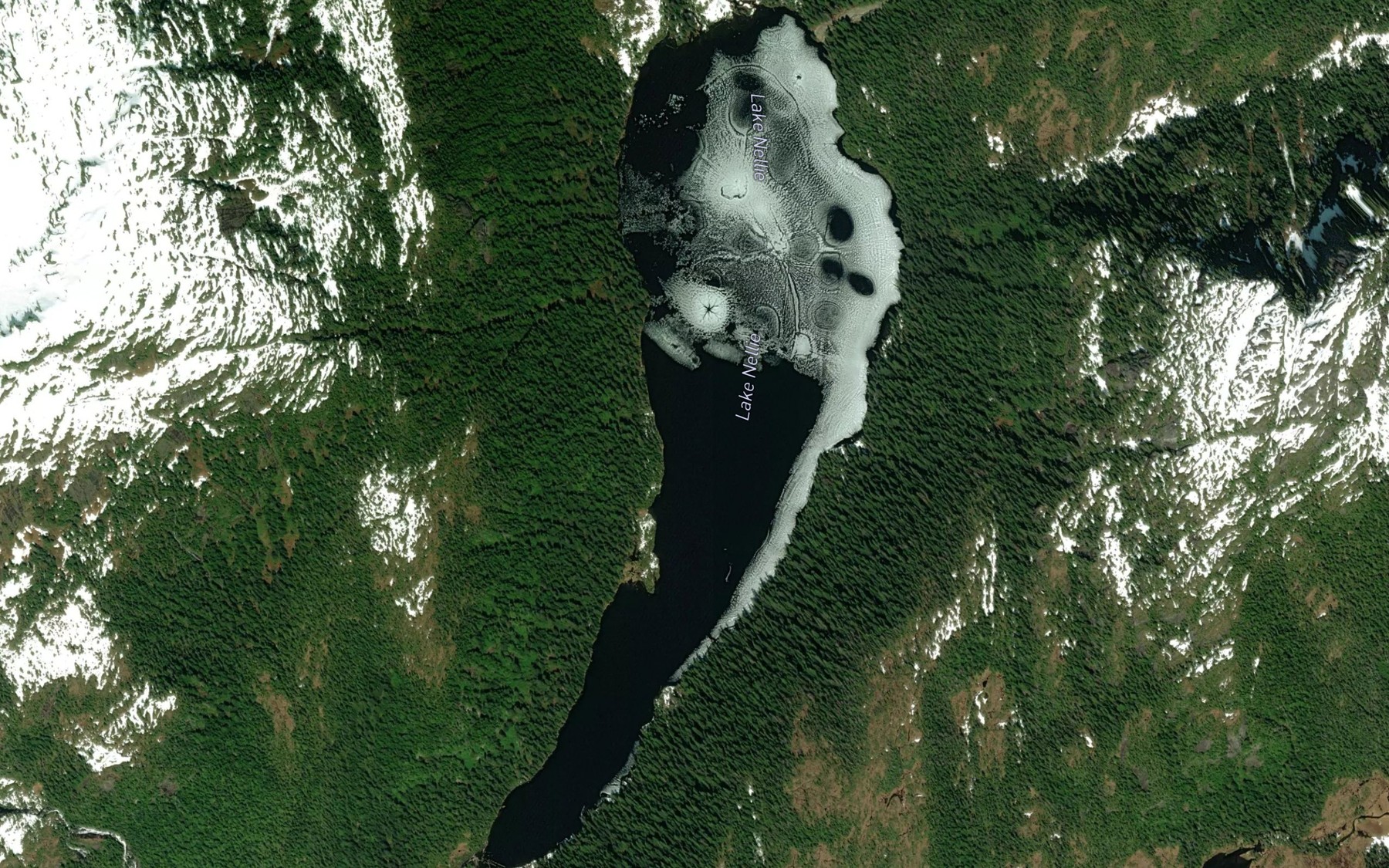 Satellite map of the Lake Nellie