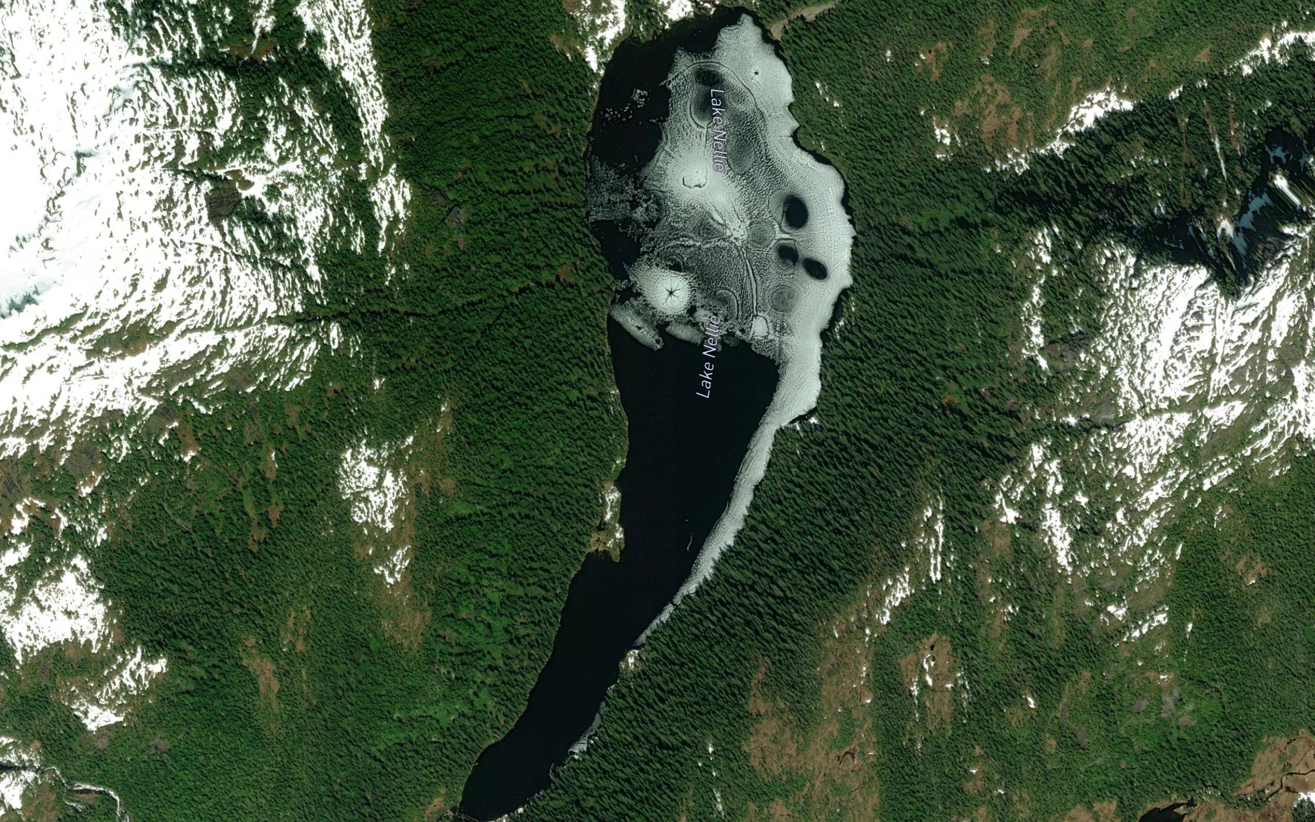 Lake Nellie
