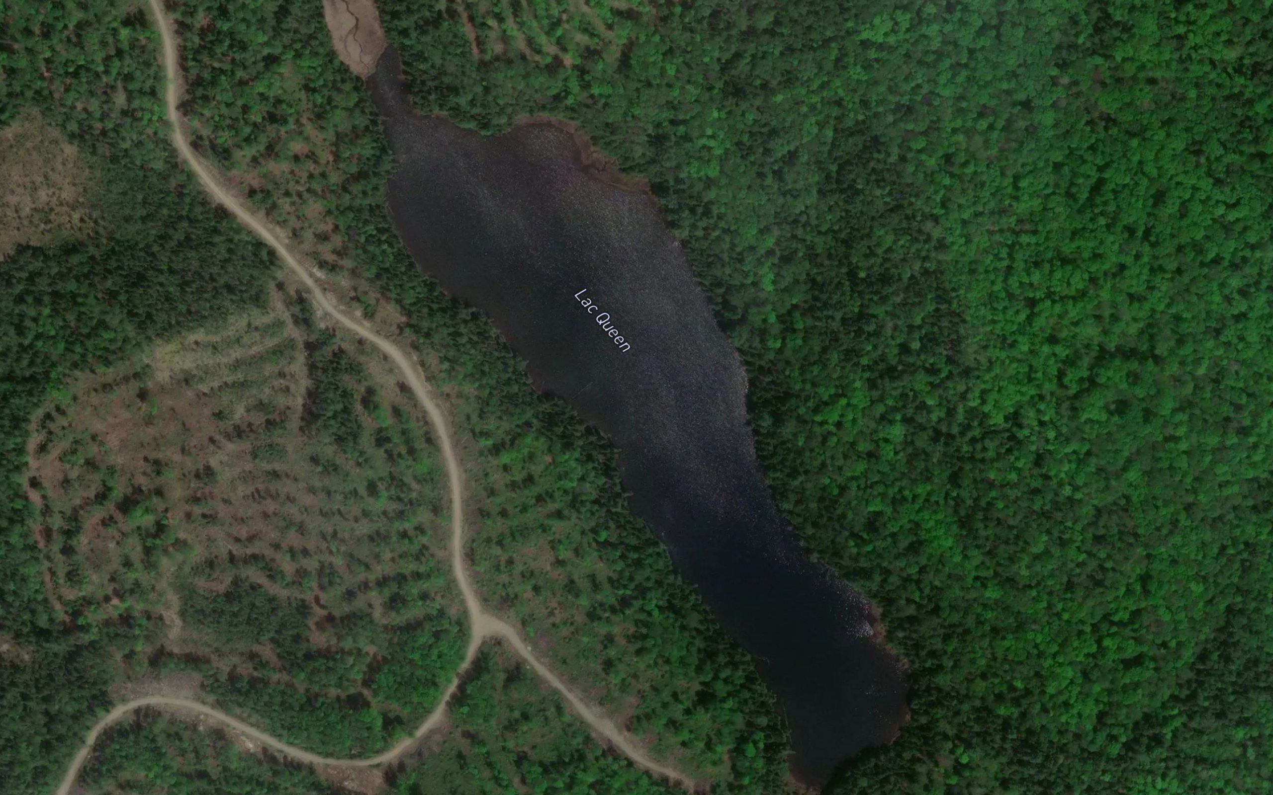 Lac Queen