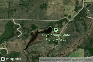 Lily Springs