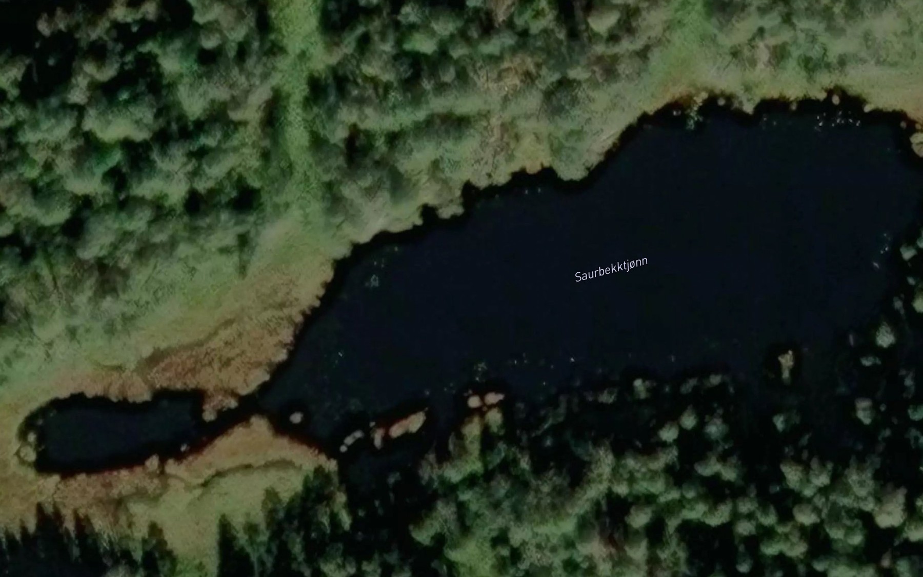 Satellite map of the Saurbekktjonn